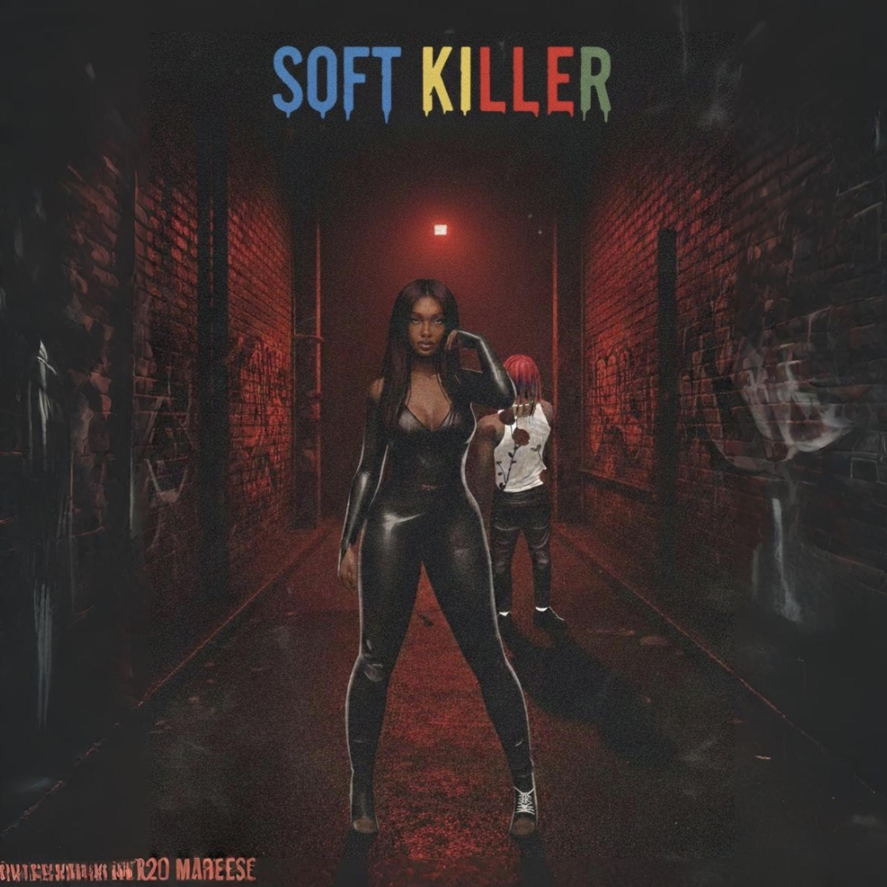 Soft Killer artwork