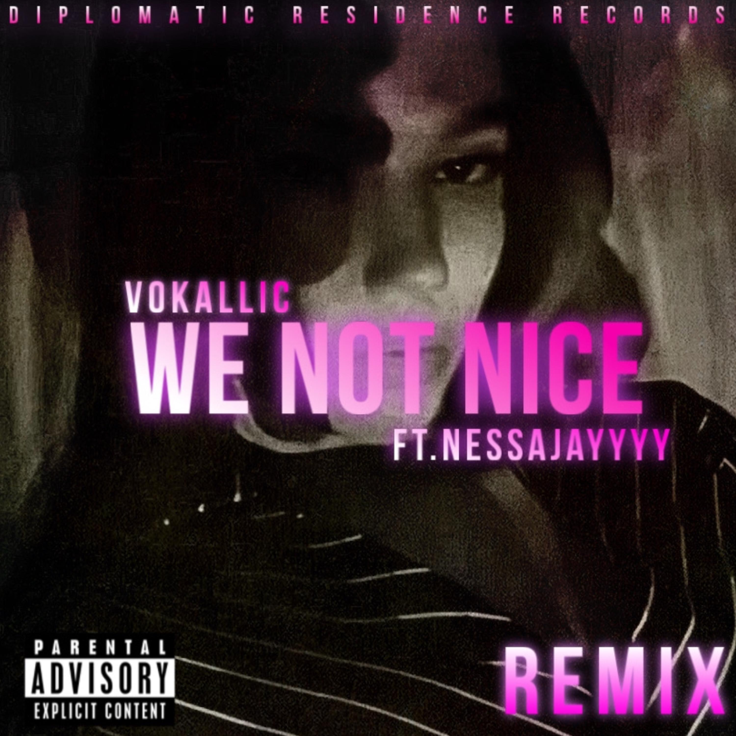 We Not Nice (Remix) artwork