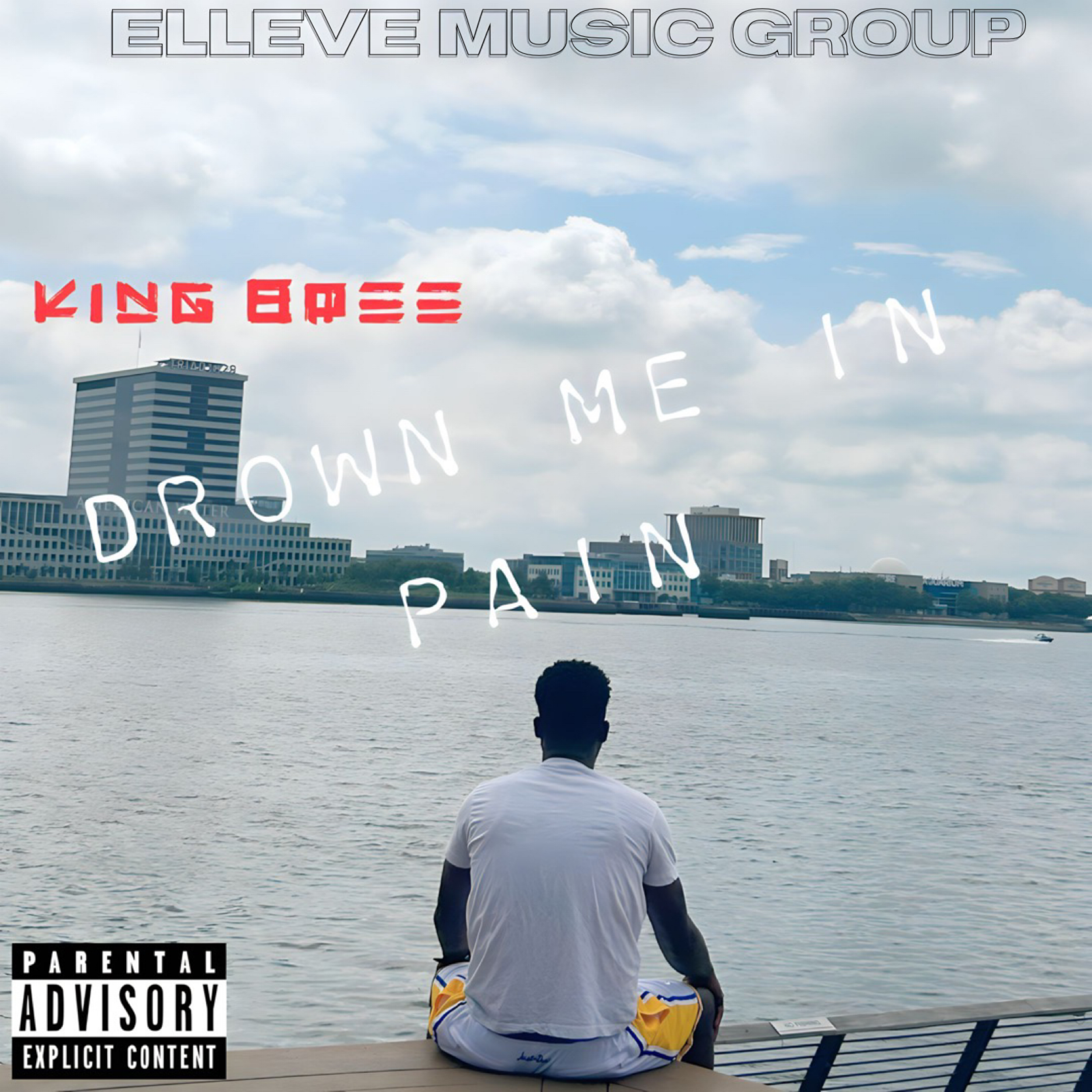 Drown Me In Pain by King Bree cover art