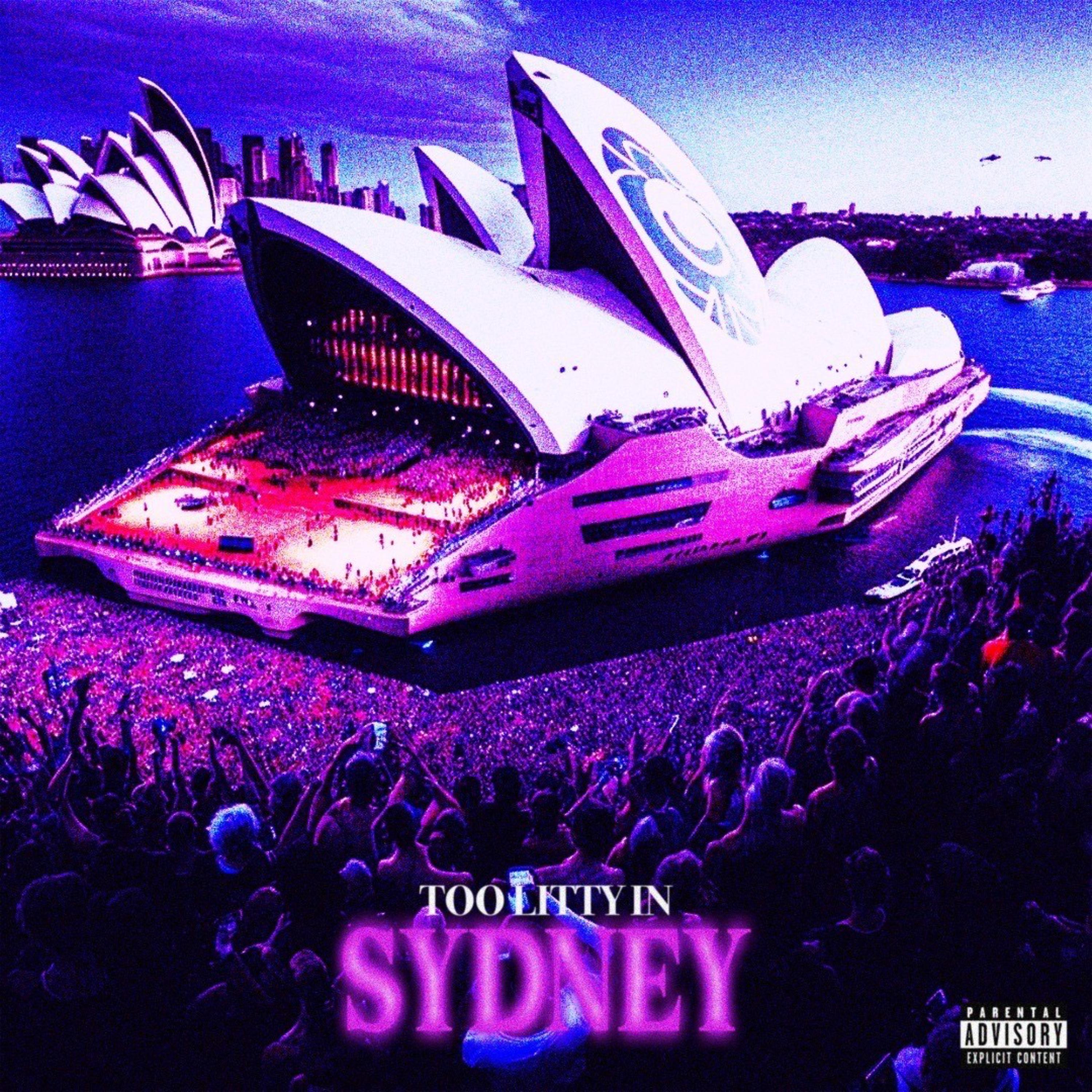 Litty In Sydney artwork
