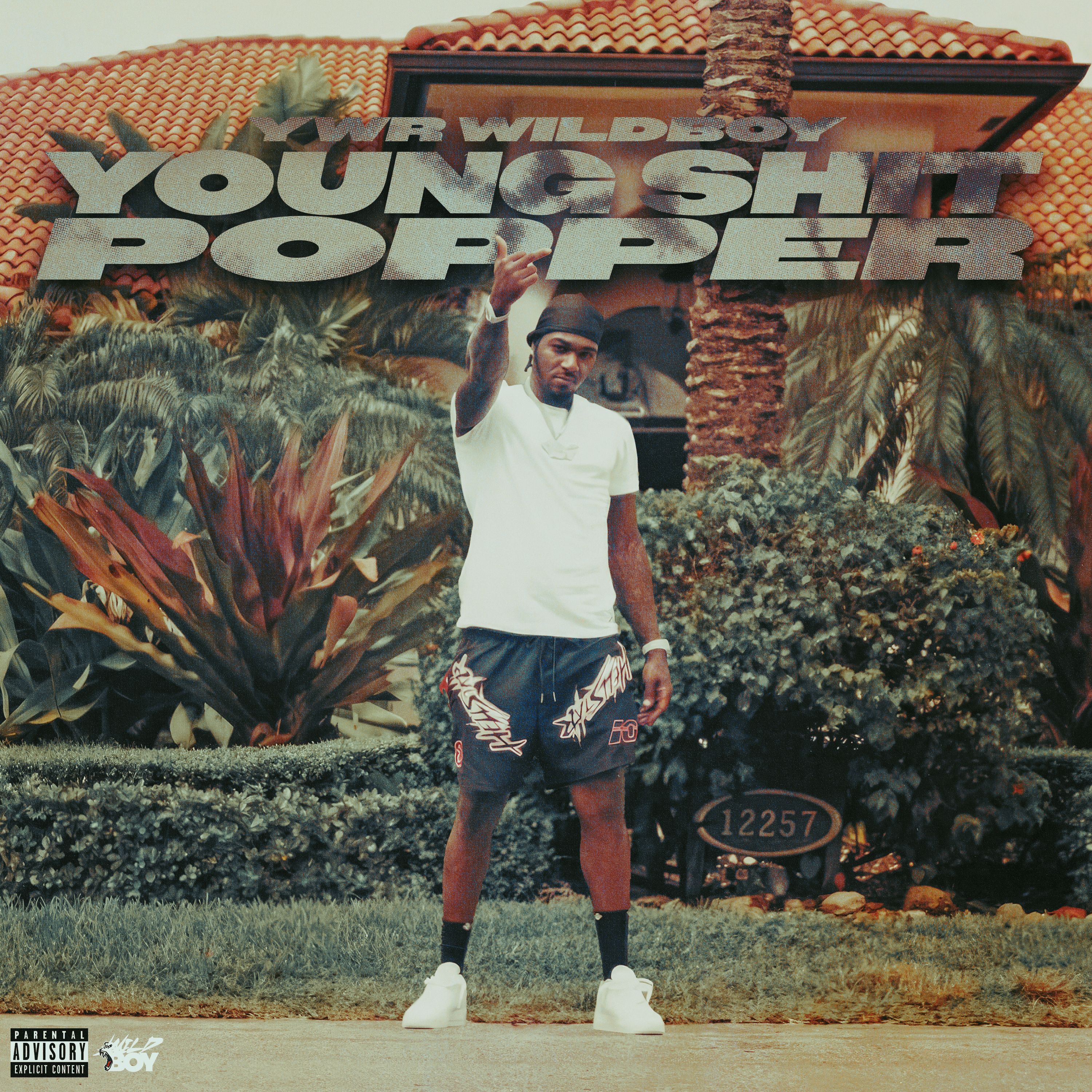 Young Shit Popper artwork