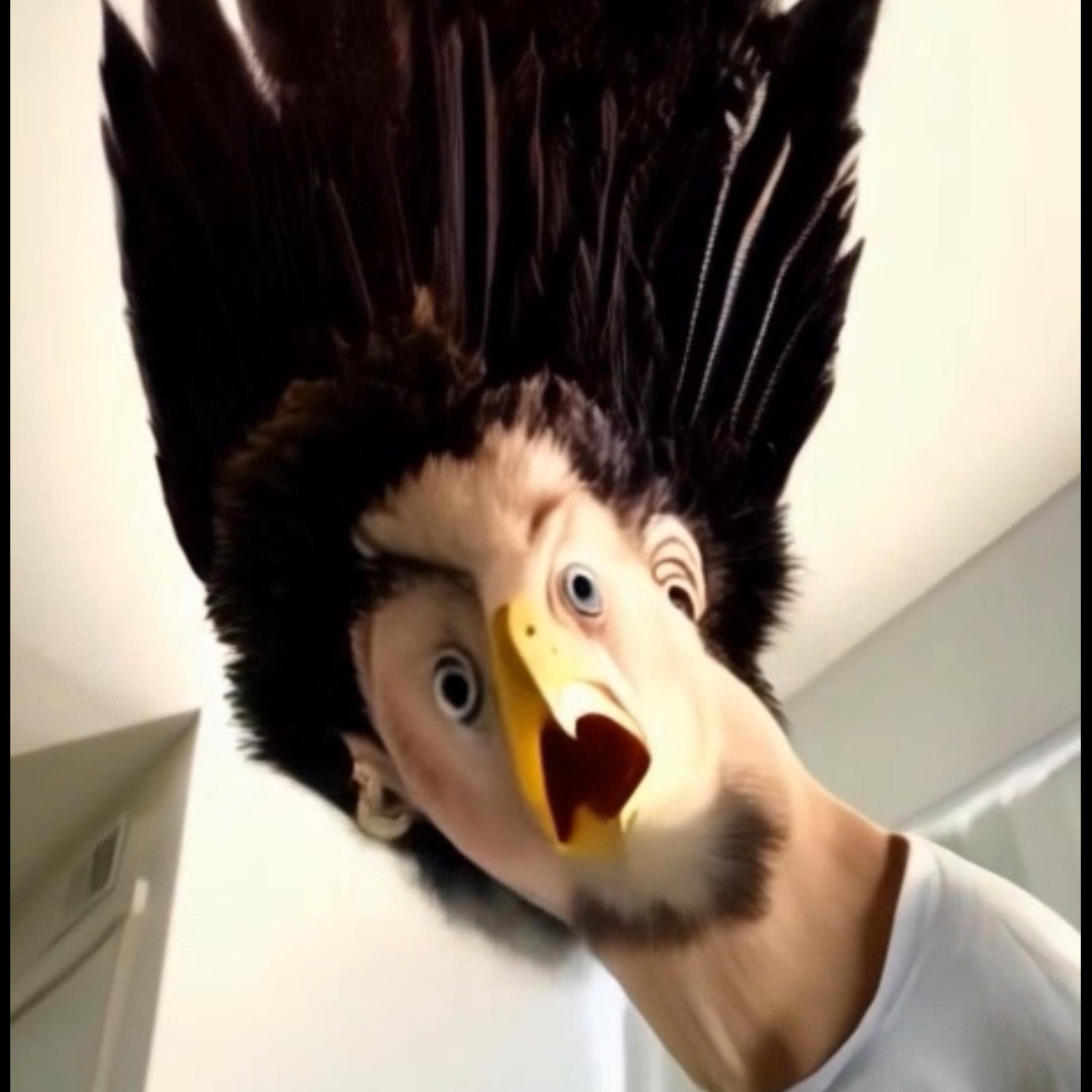 OHNO!! artwork