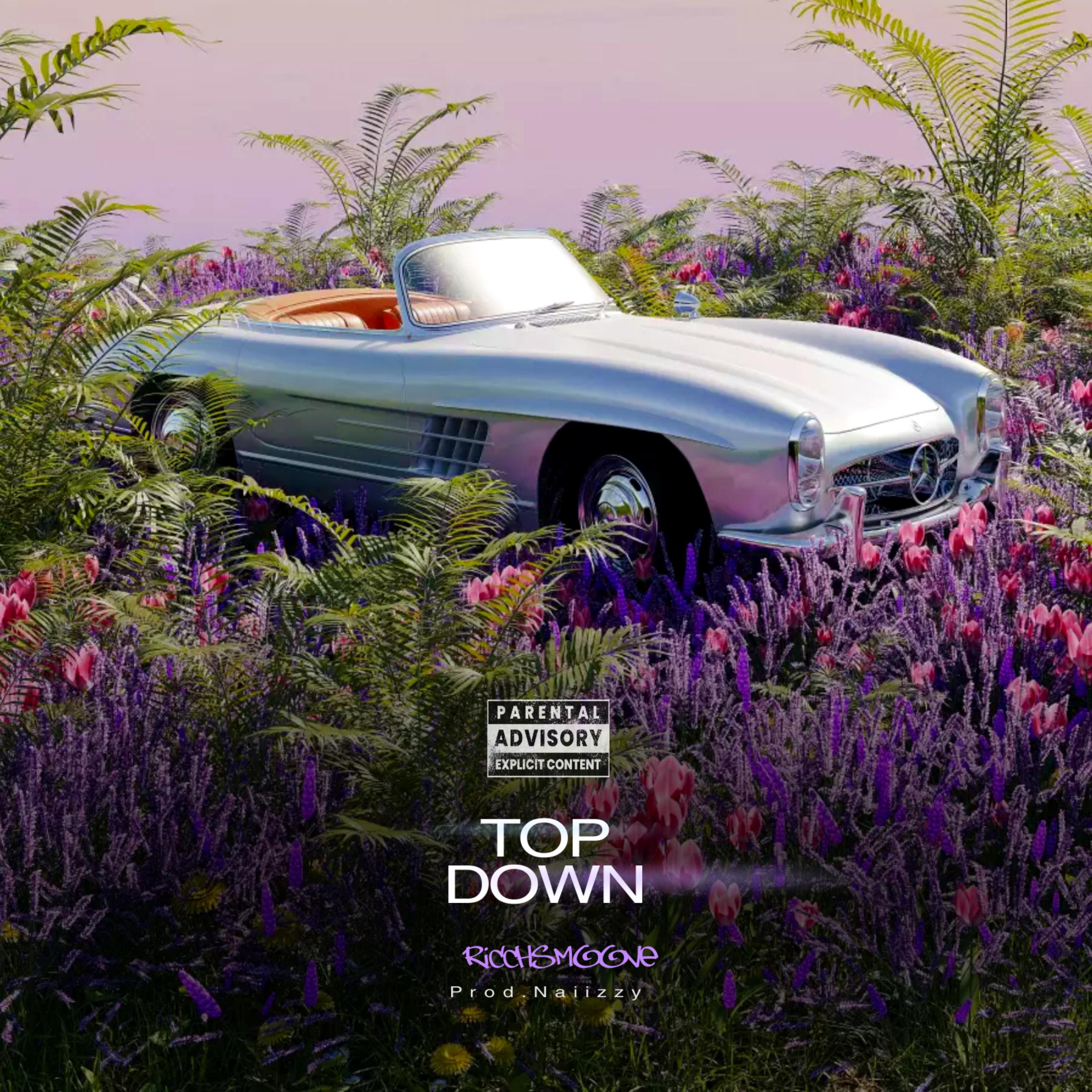 Top Down artwork