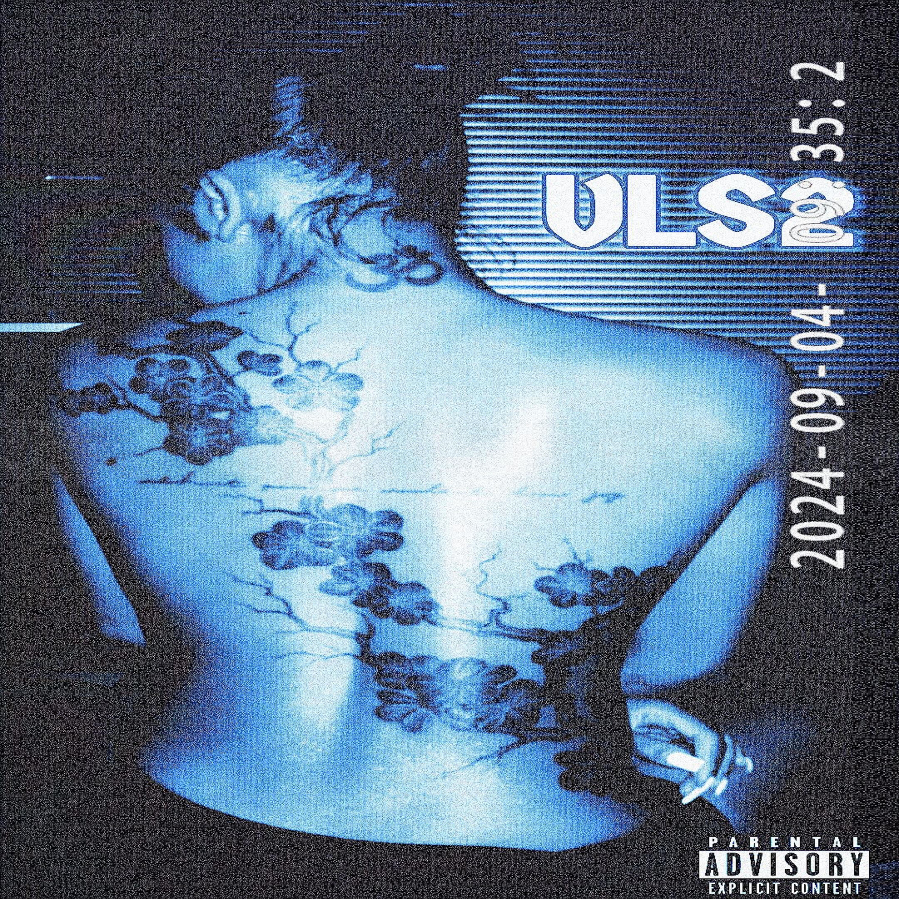 Vibes Luv Santana 2 artwork