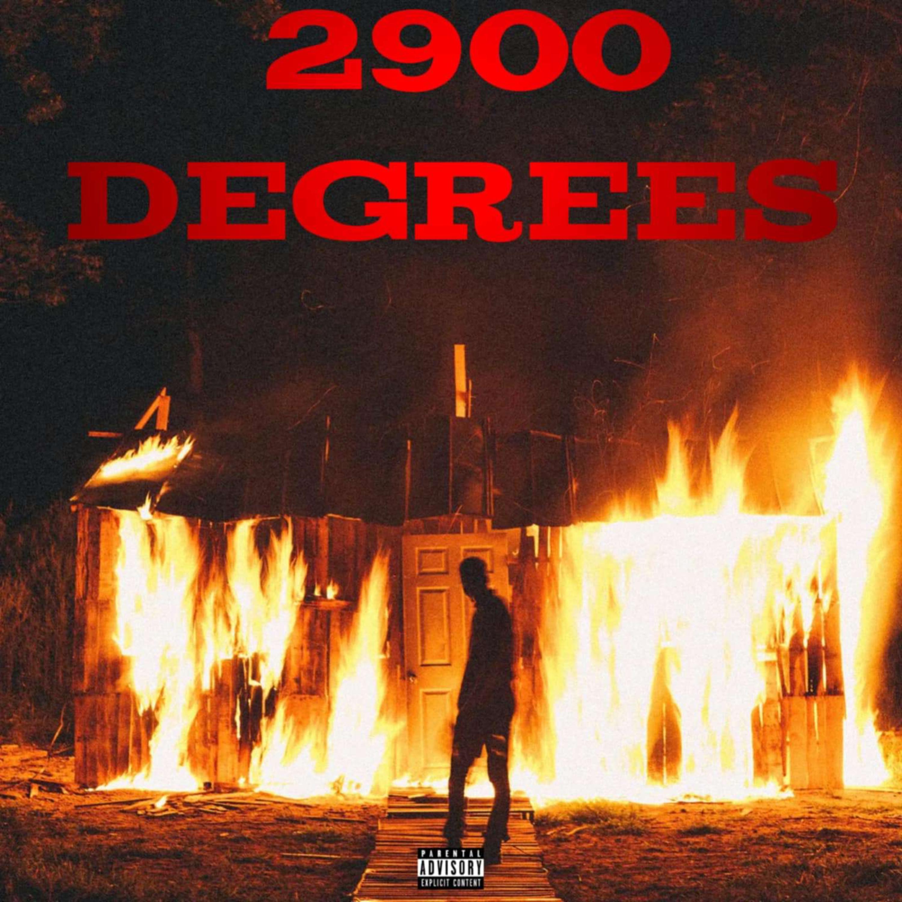 2900 DEGREES artwork