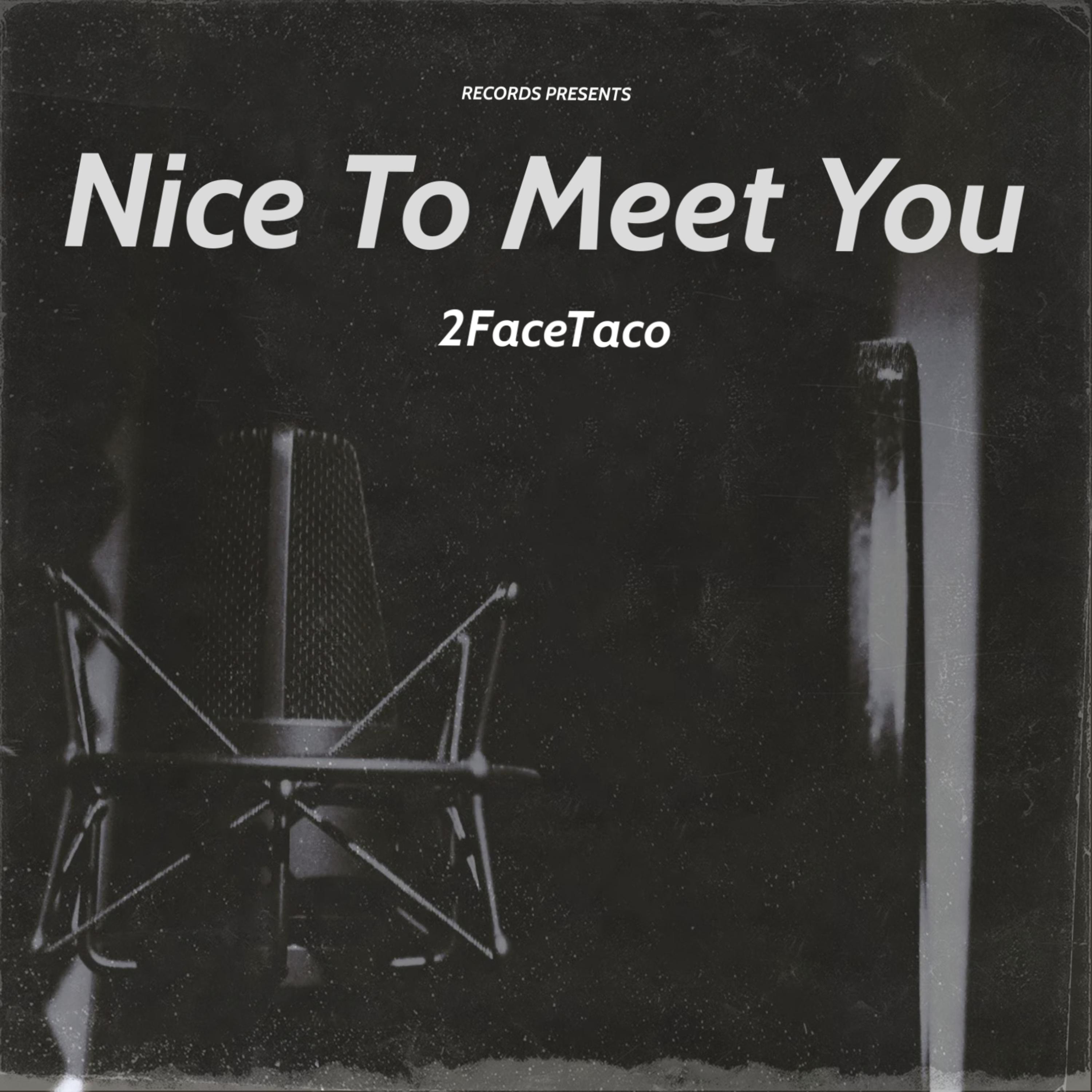 Nice To Meet You artwork