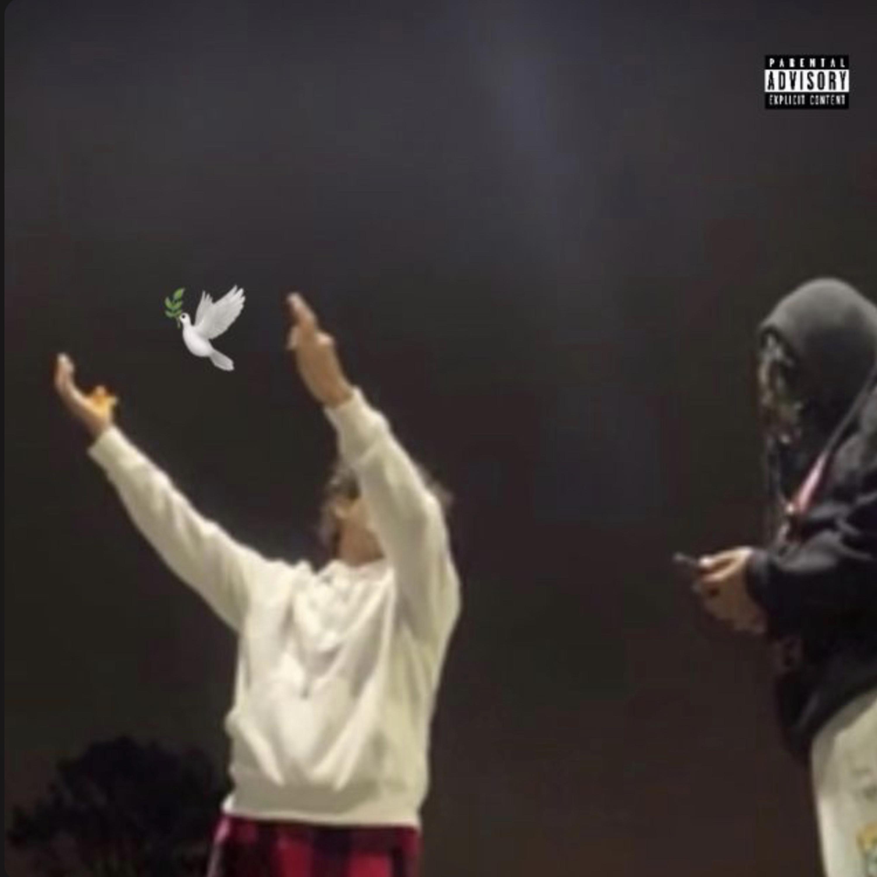 Everything 4 Anthony artwork