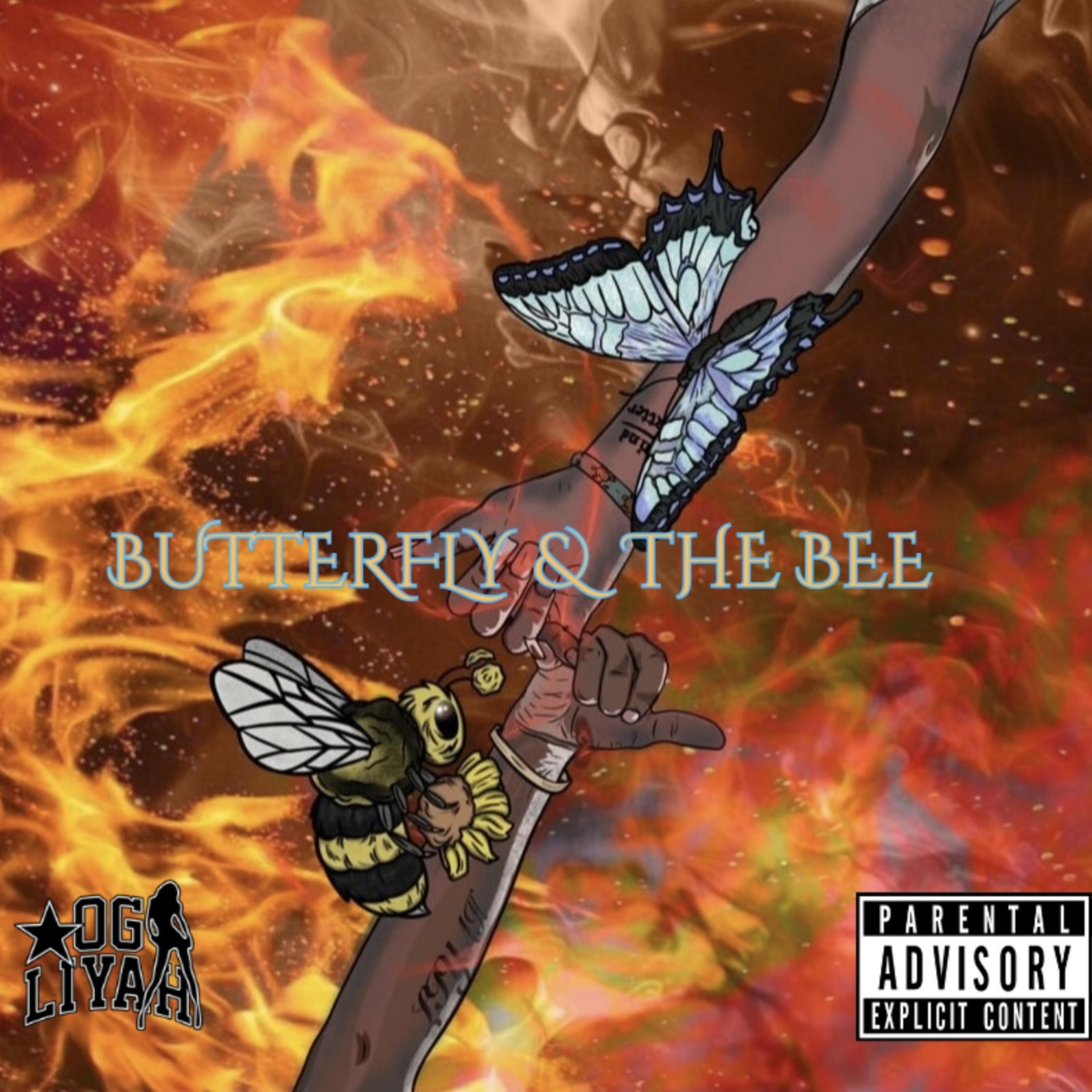 BUTTERFLY & THE BEE artwork