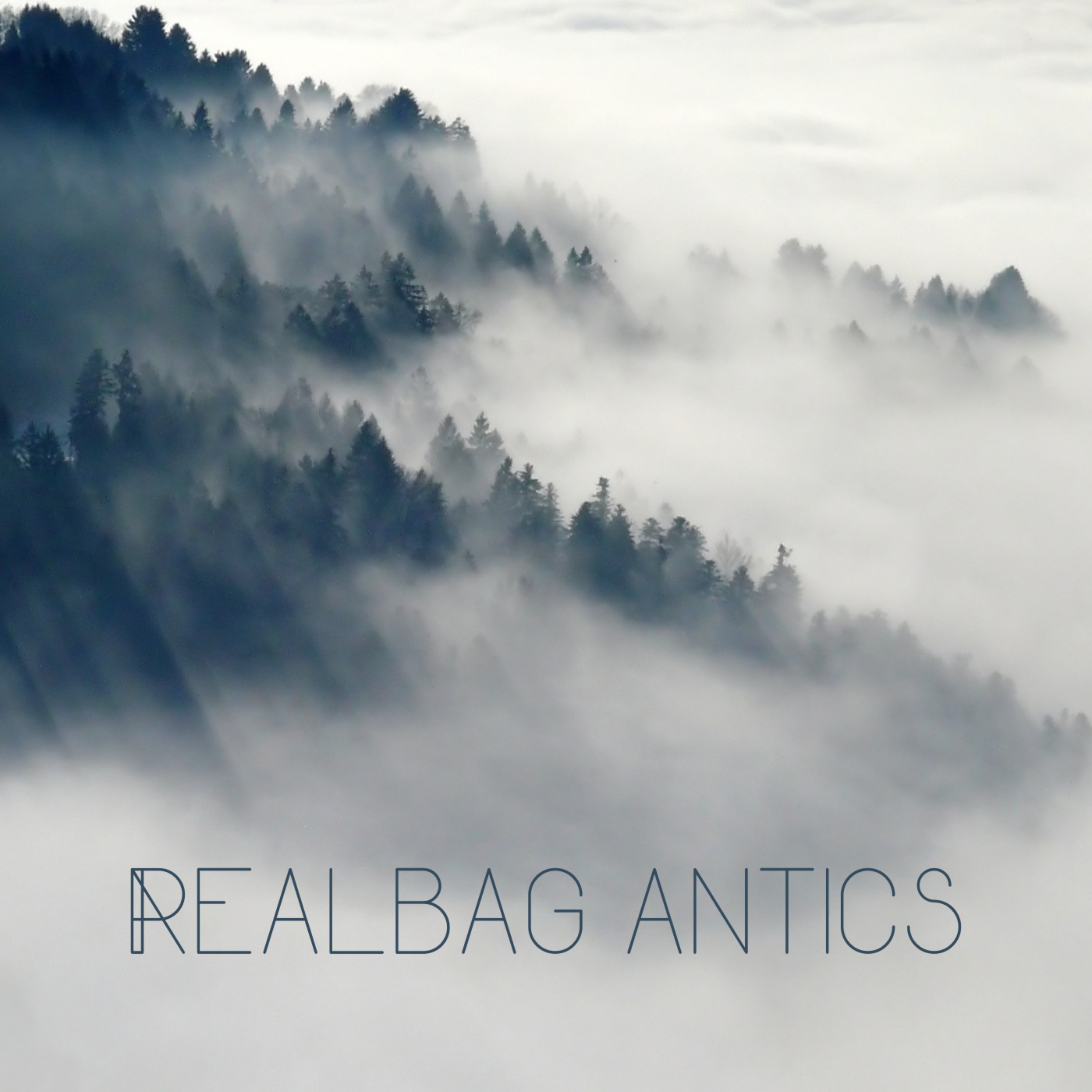 Antics artwork