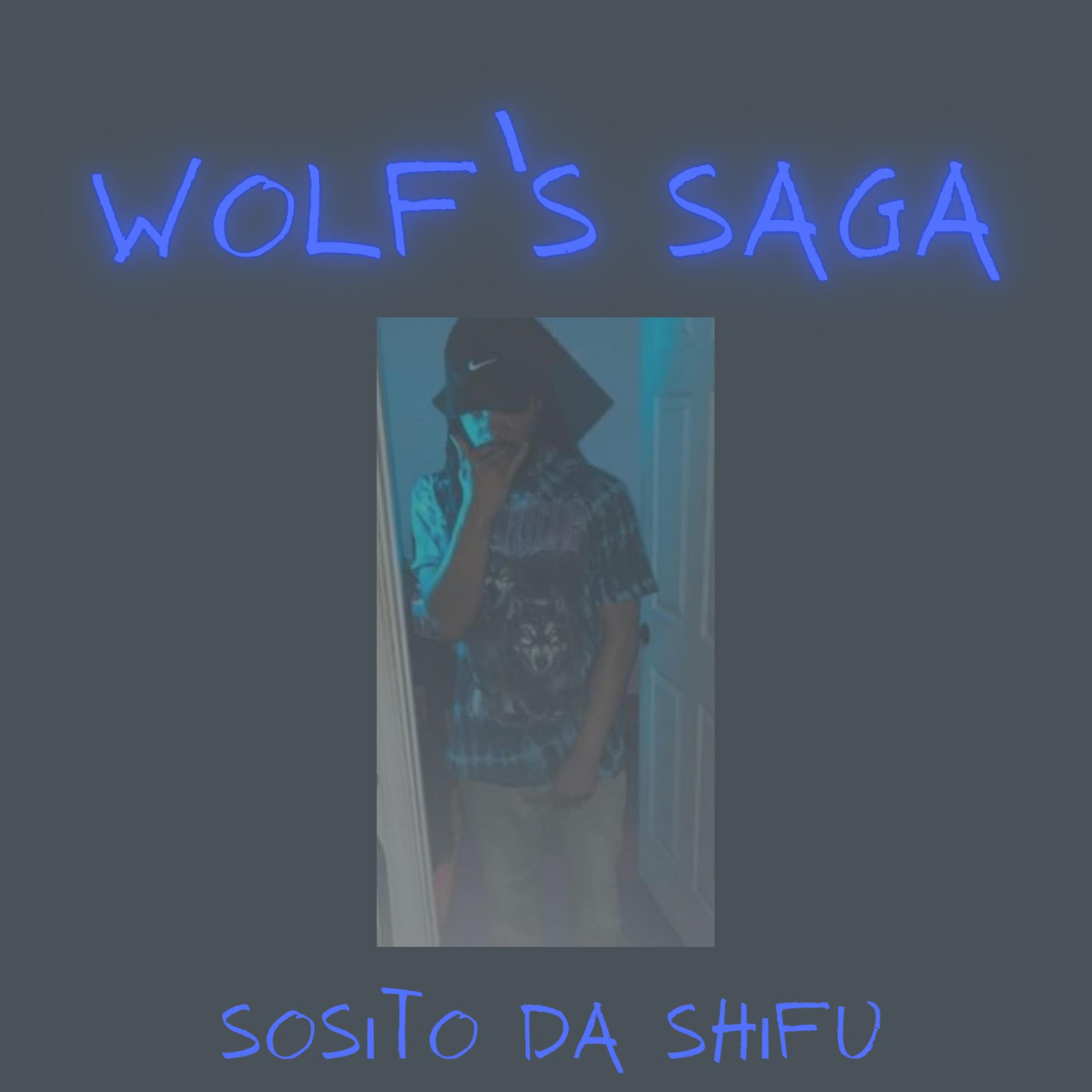 WOLF'S SAGA  artwork
