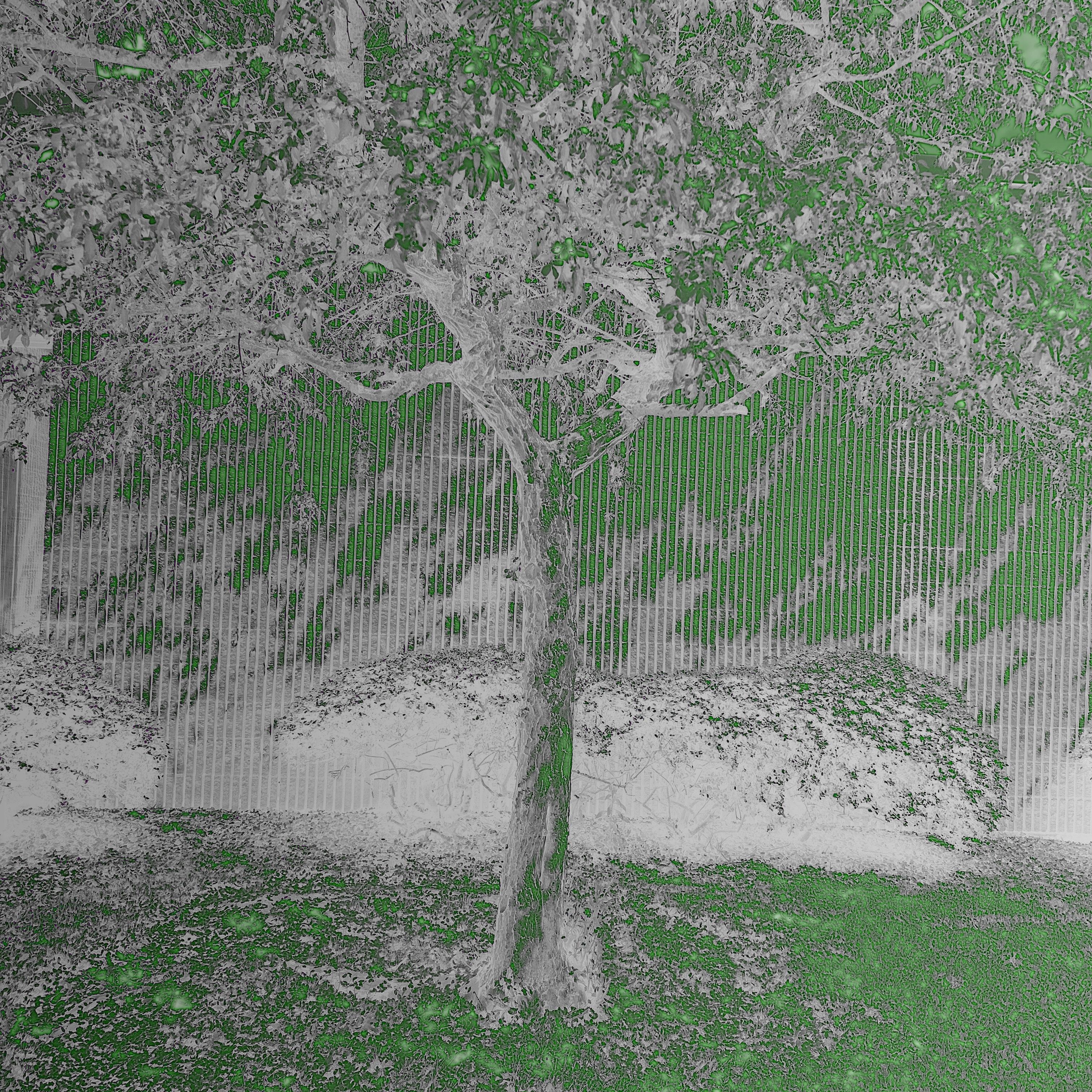 Numb To Everything artwork