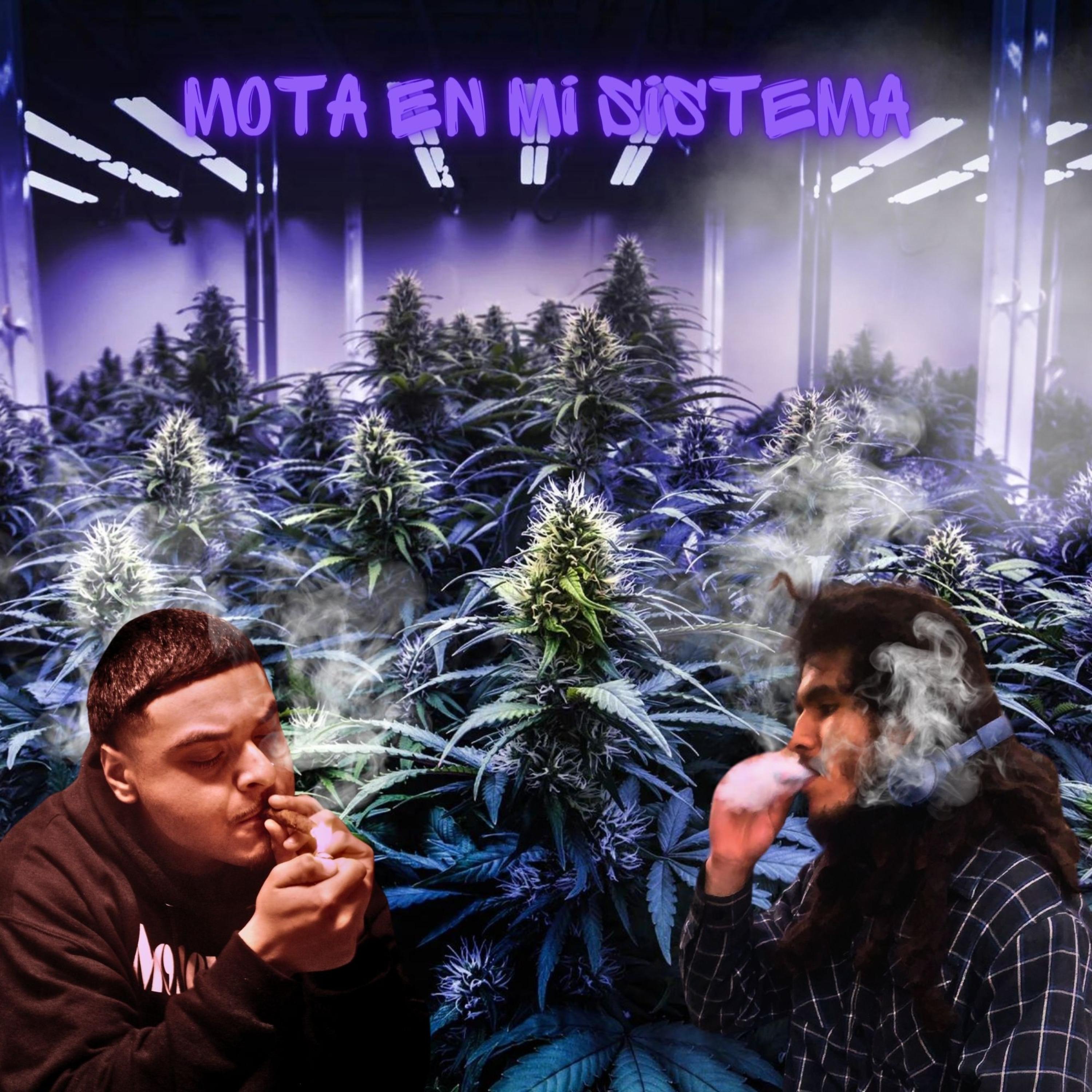 Mota En Mi Sistema artwork