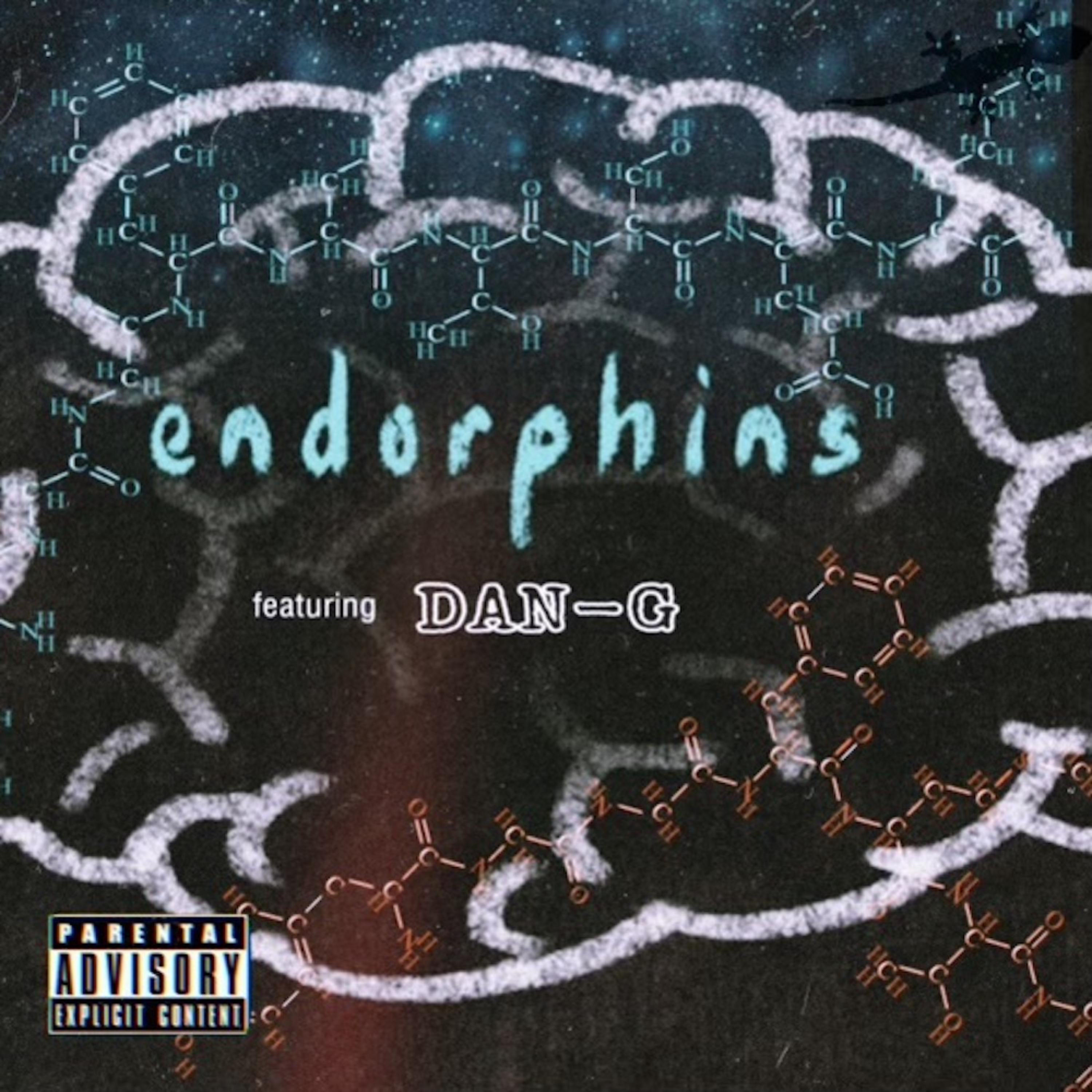 Endorphins artwork