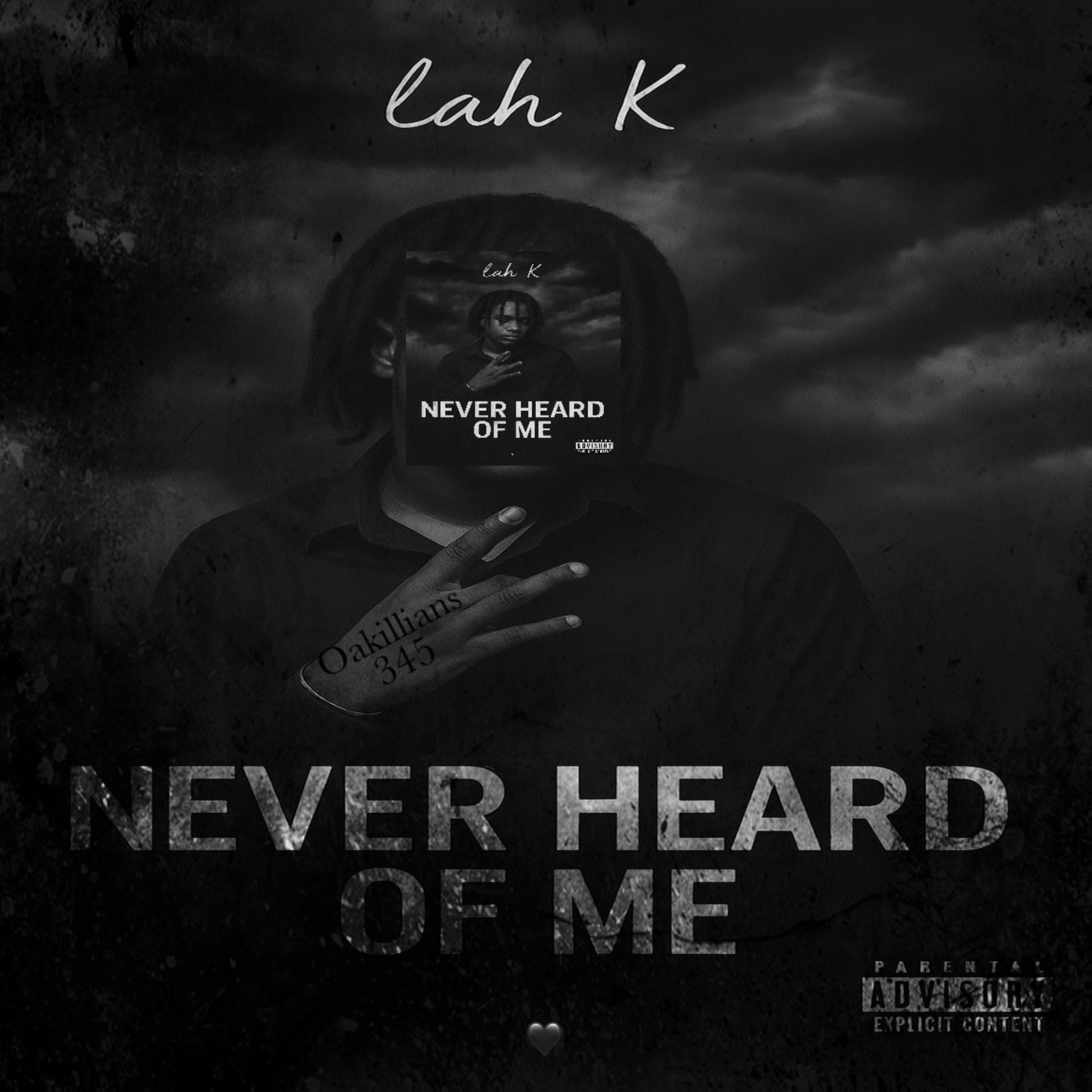 Never Heard Of Me artwork