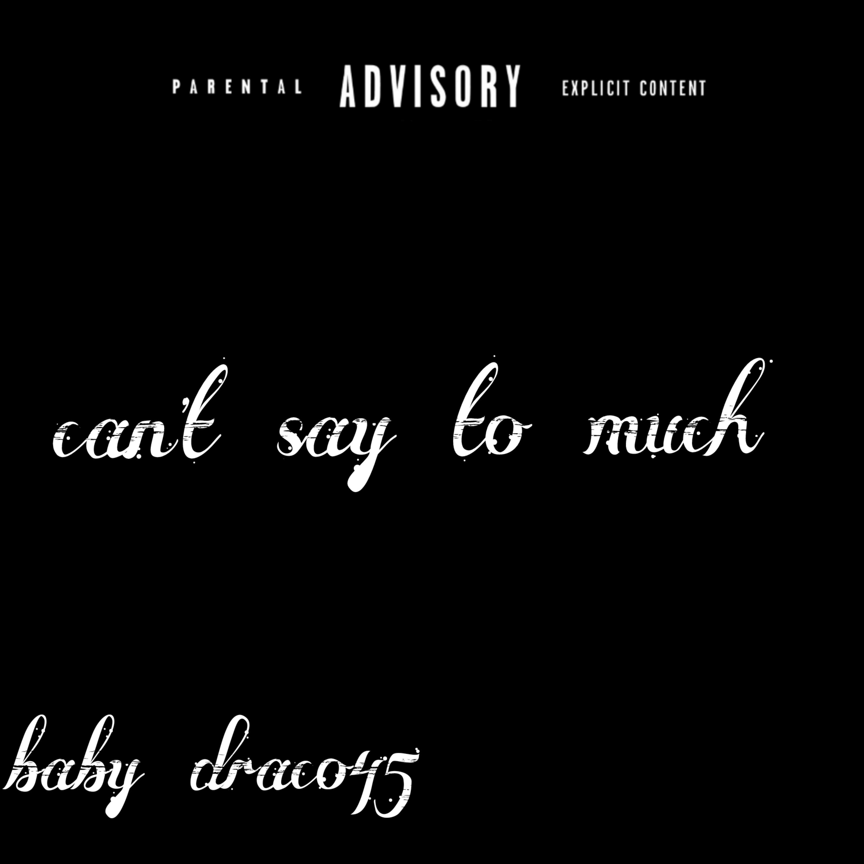 Cant Say To Much artwork