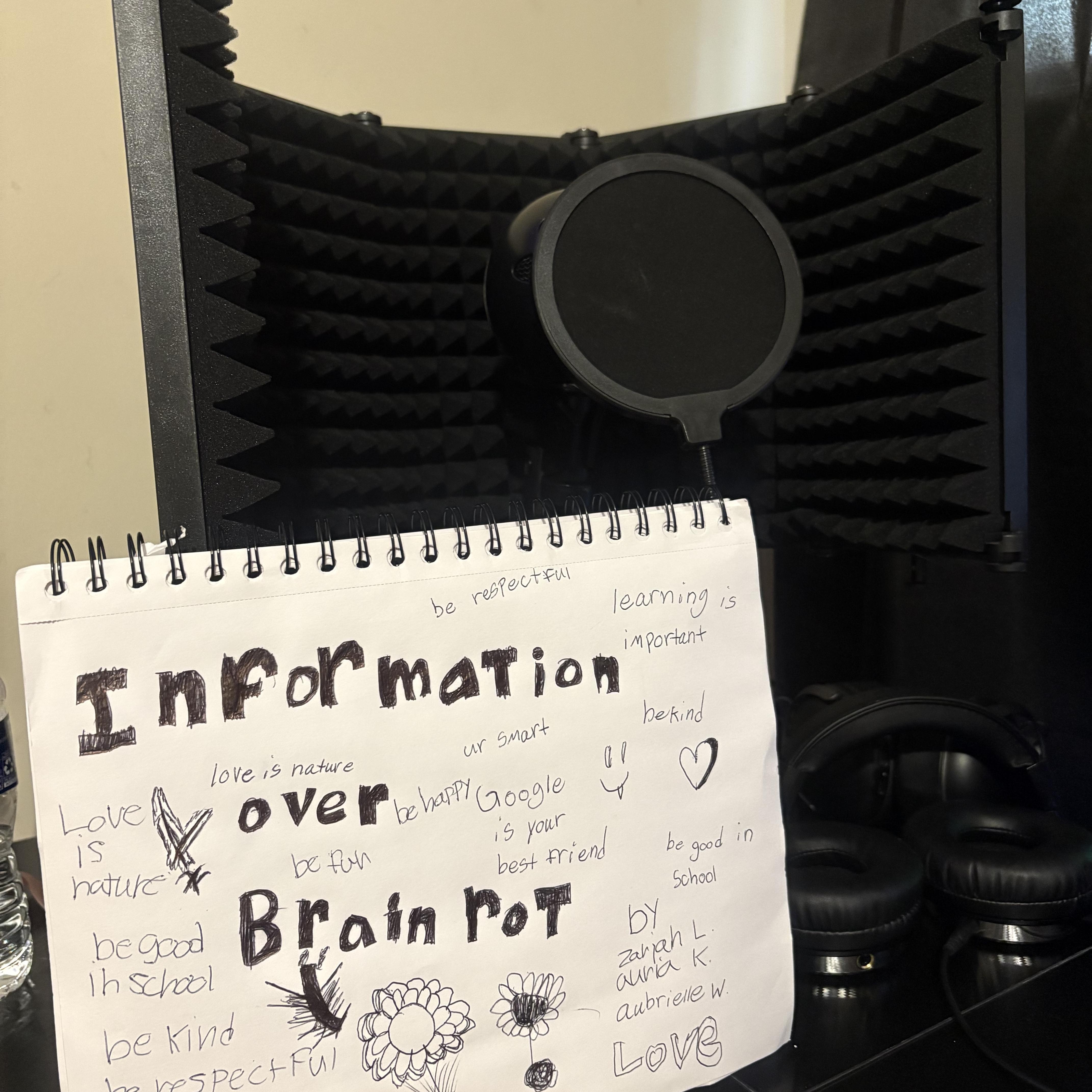 Information Over Brainrot artwork