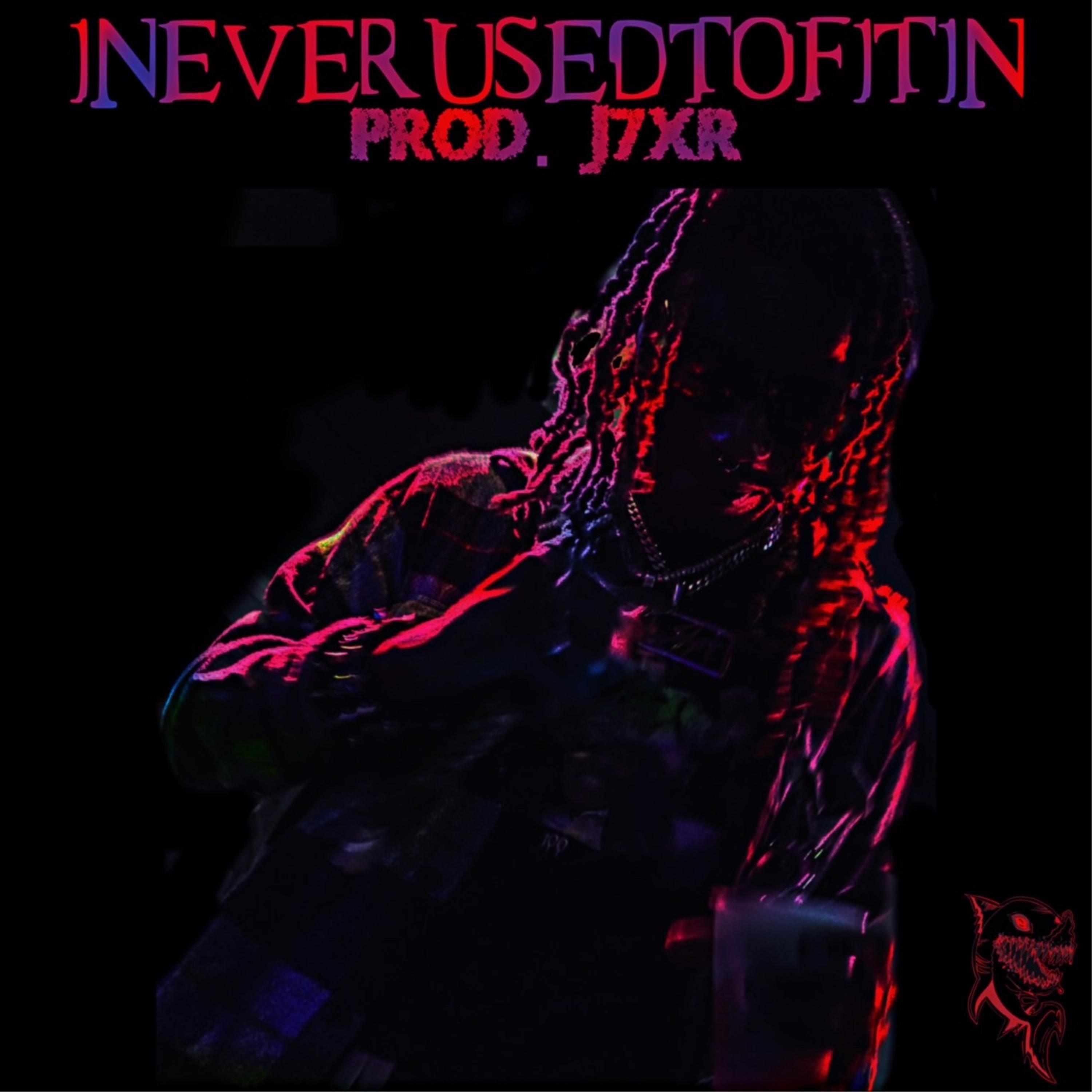 INeVeRUseDToFiTiN artwork