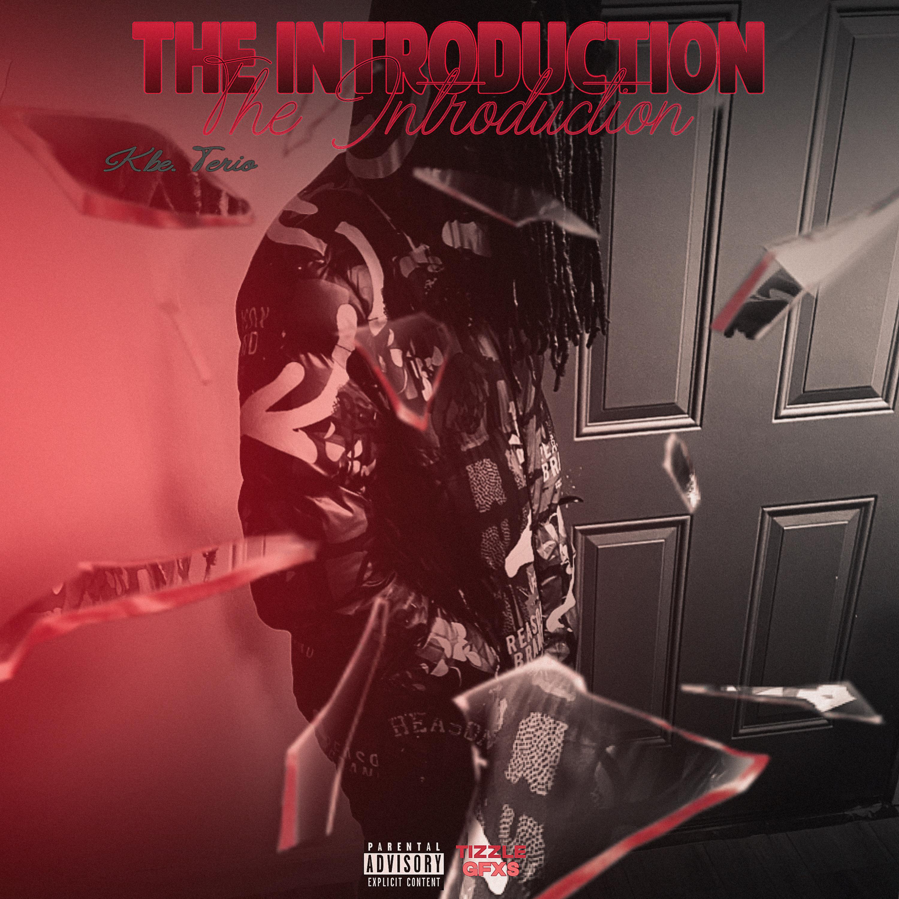 THE INTRODUCTION artwork