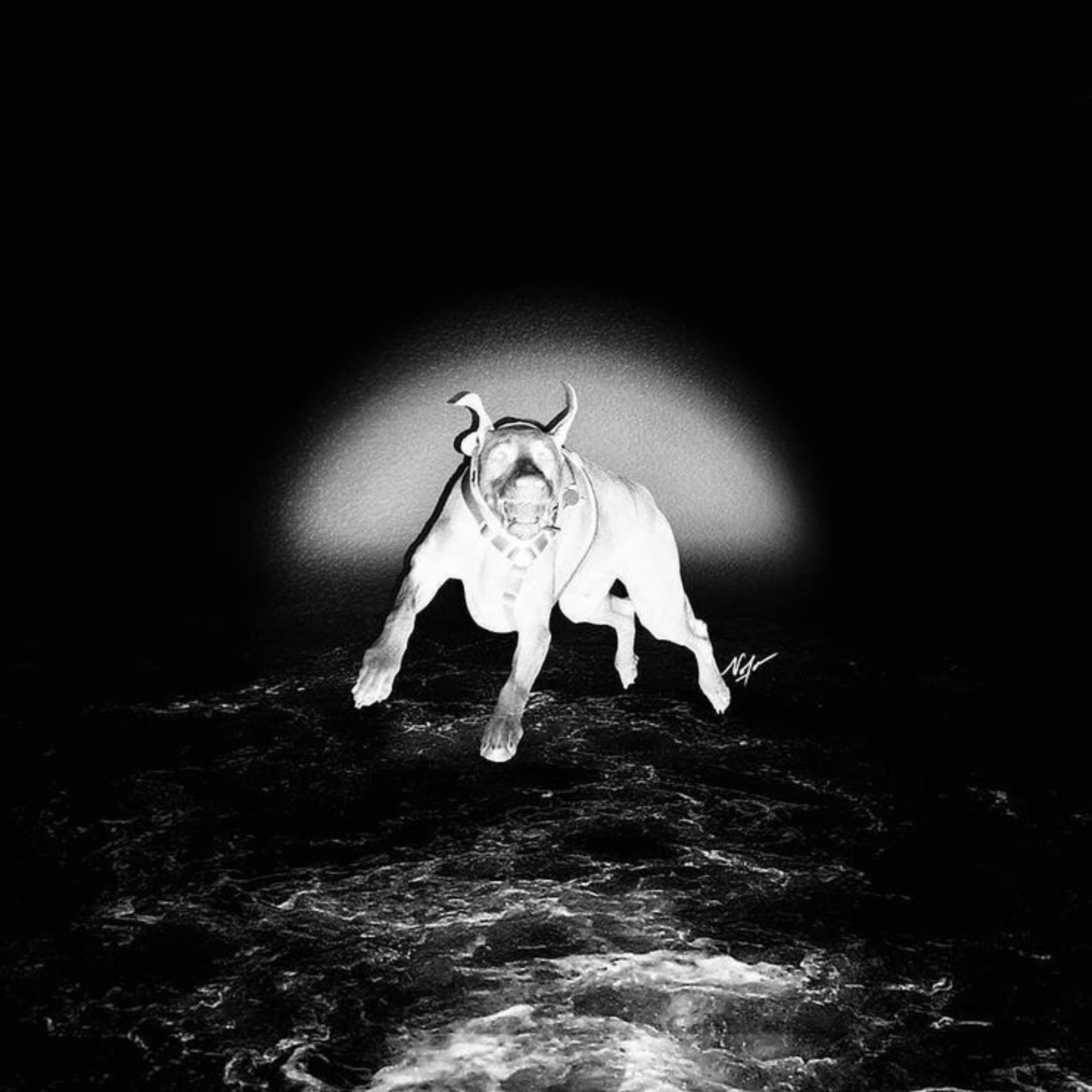 Bark Na !?!? by Meer2hxtt cover art