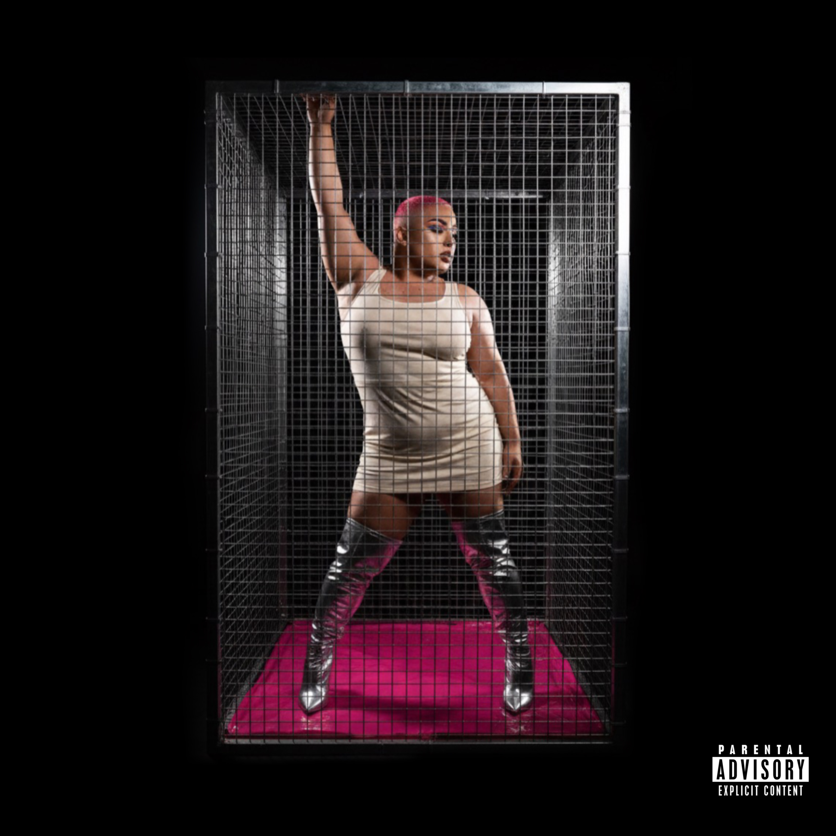 PINK (Deluxe Version) artwork