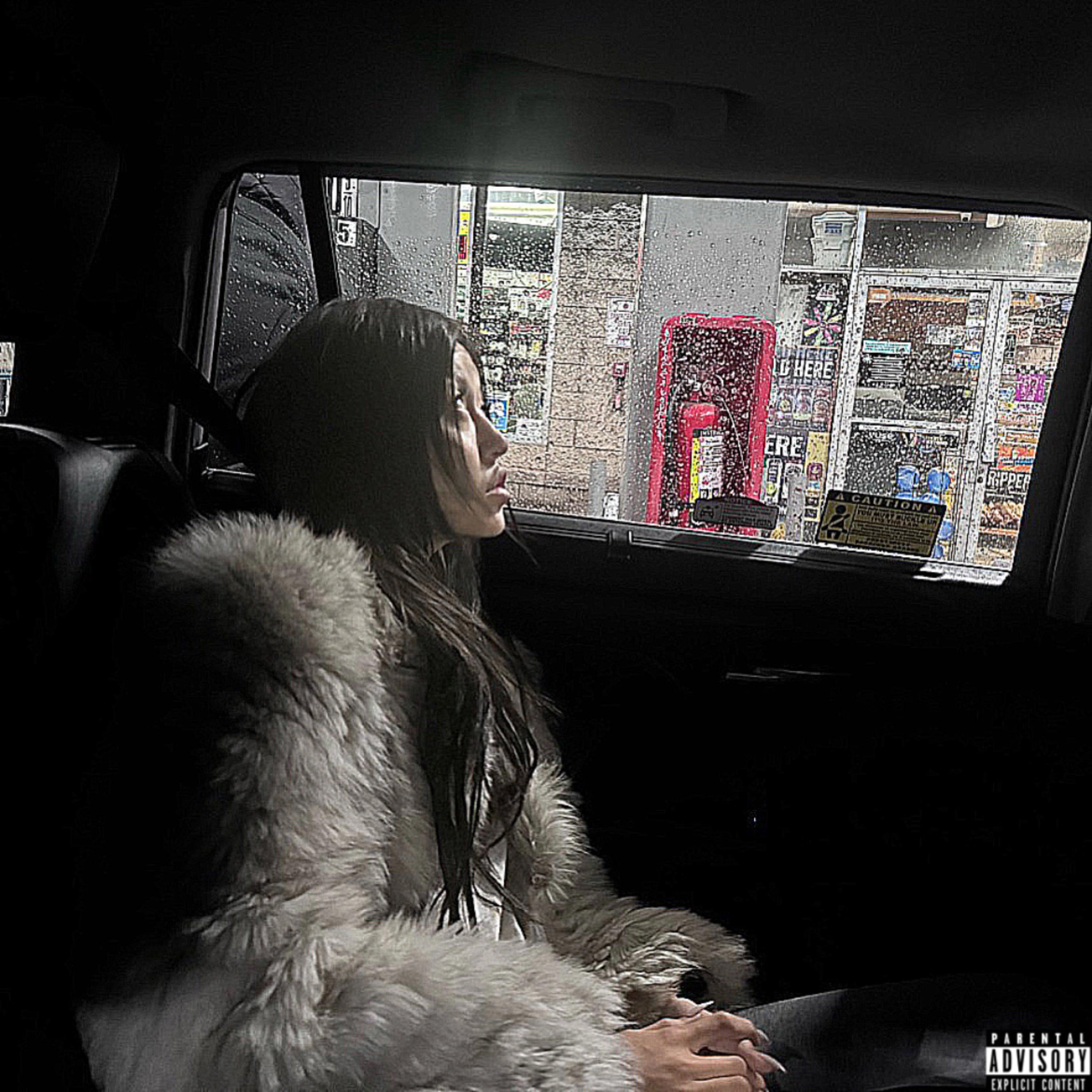 Loser lifestyle artwork
