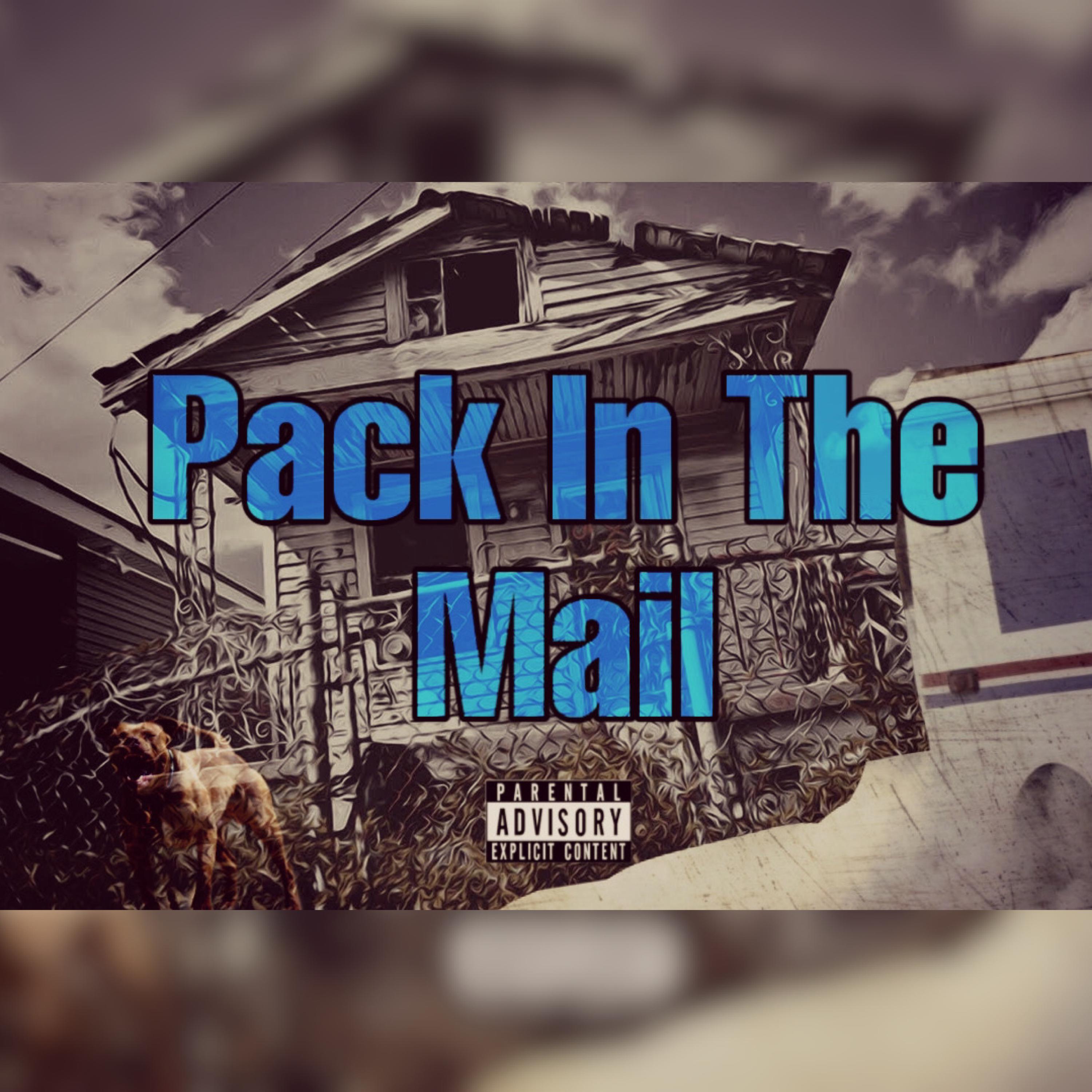 Pack In The Mail artwork
