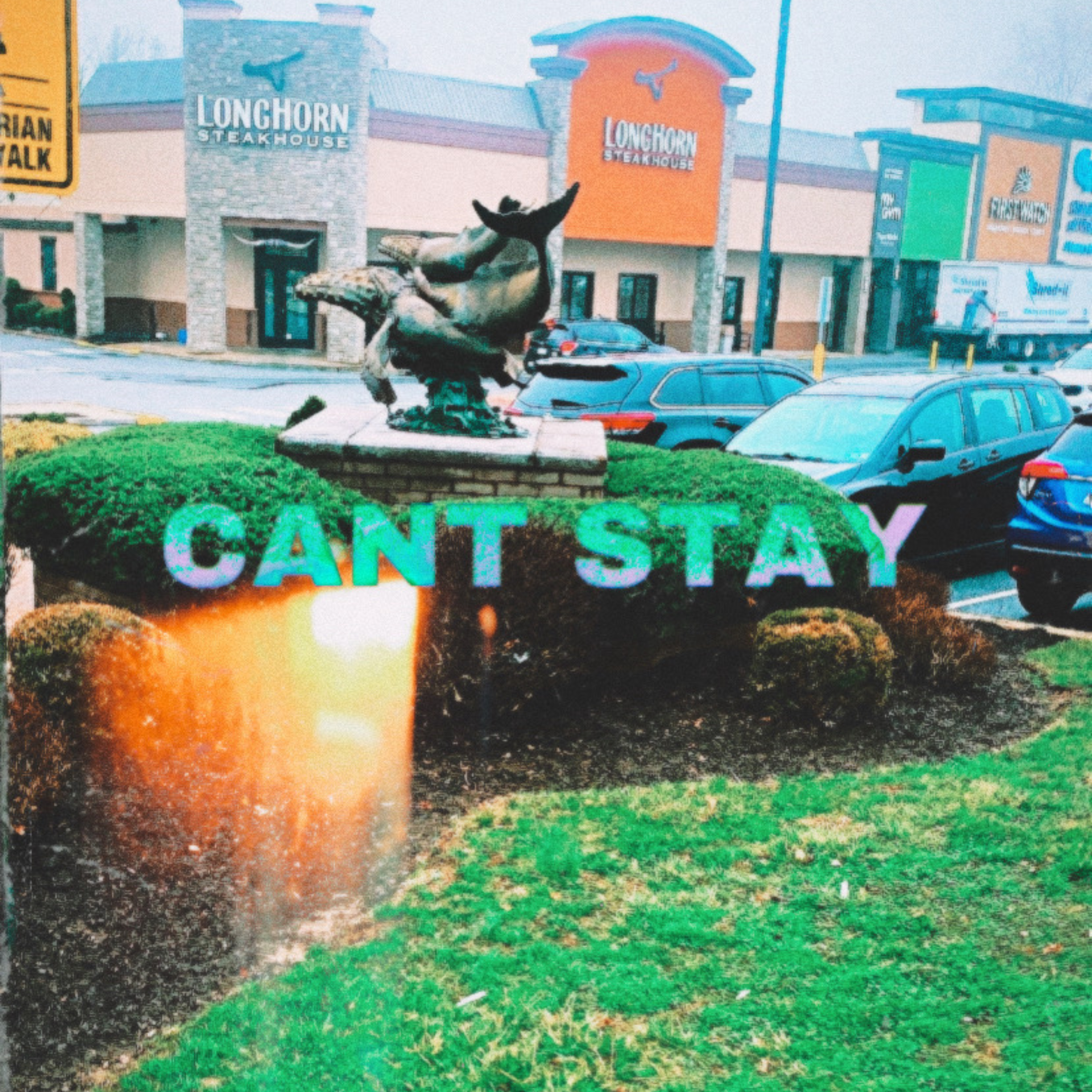 Can’t Stay artwork