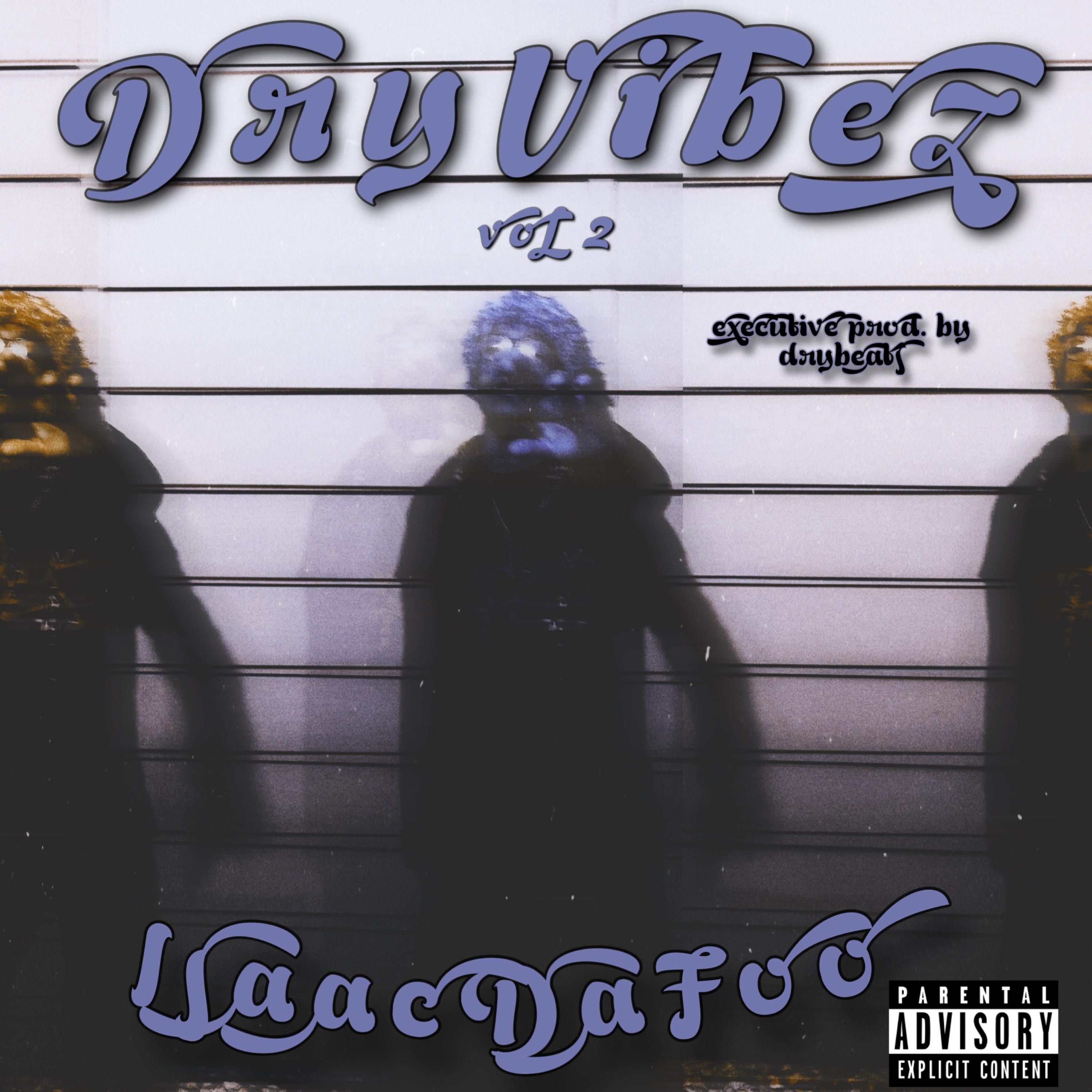 DRY VIBEZ, VOL 2 artwork
