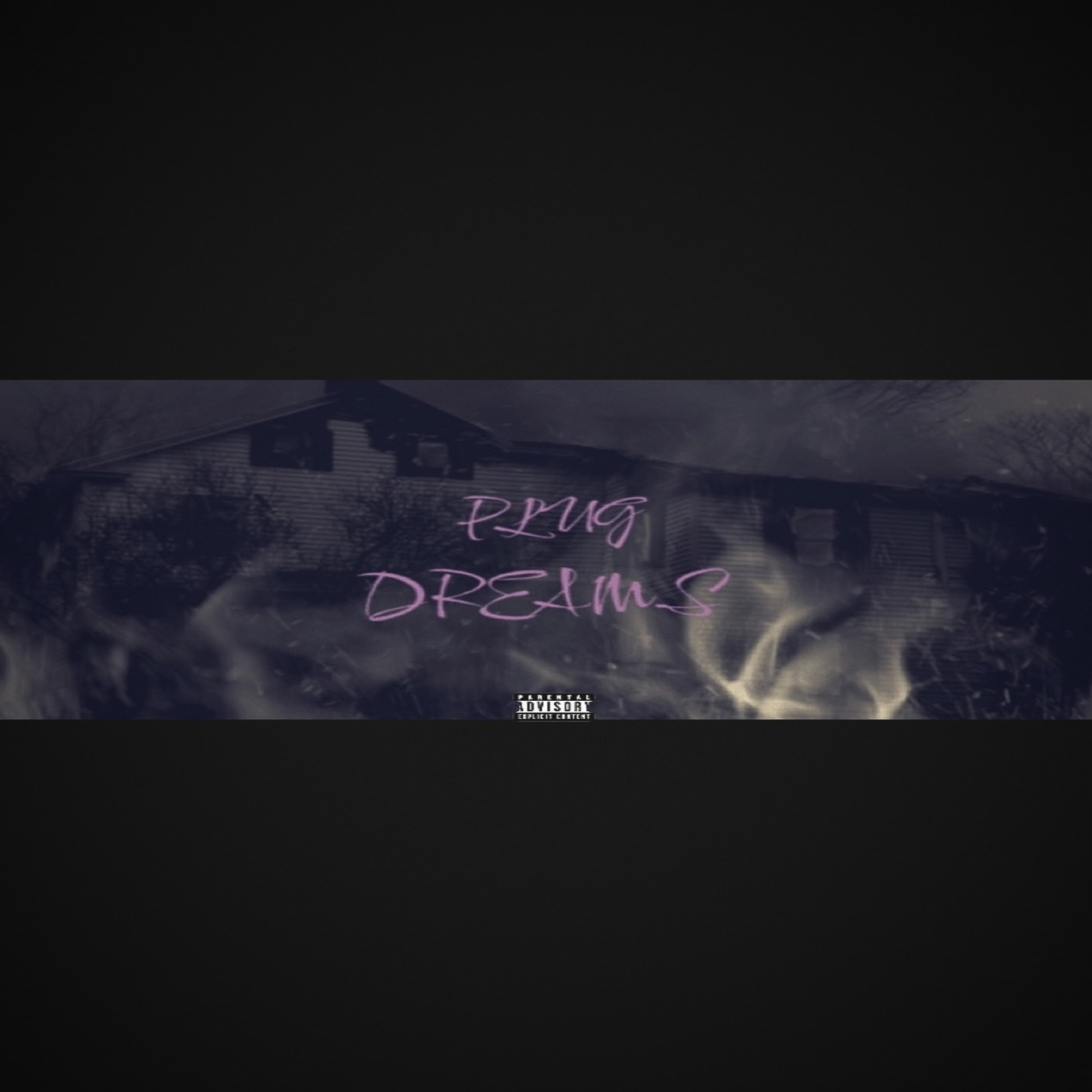 Plug Dreams artwork
