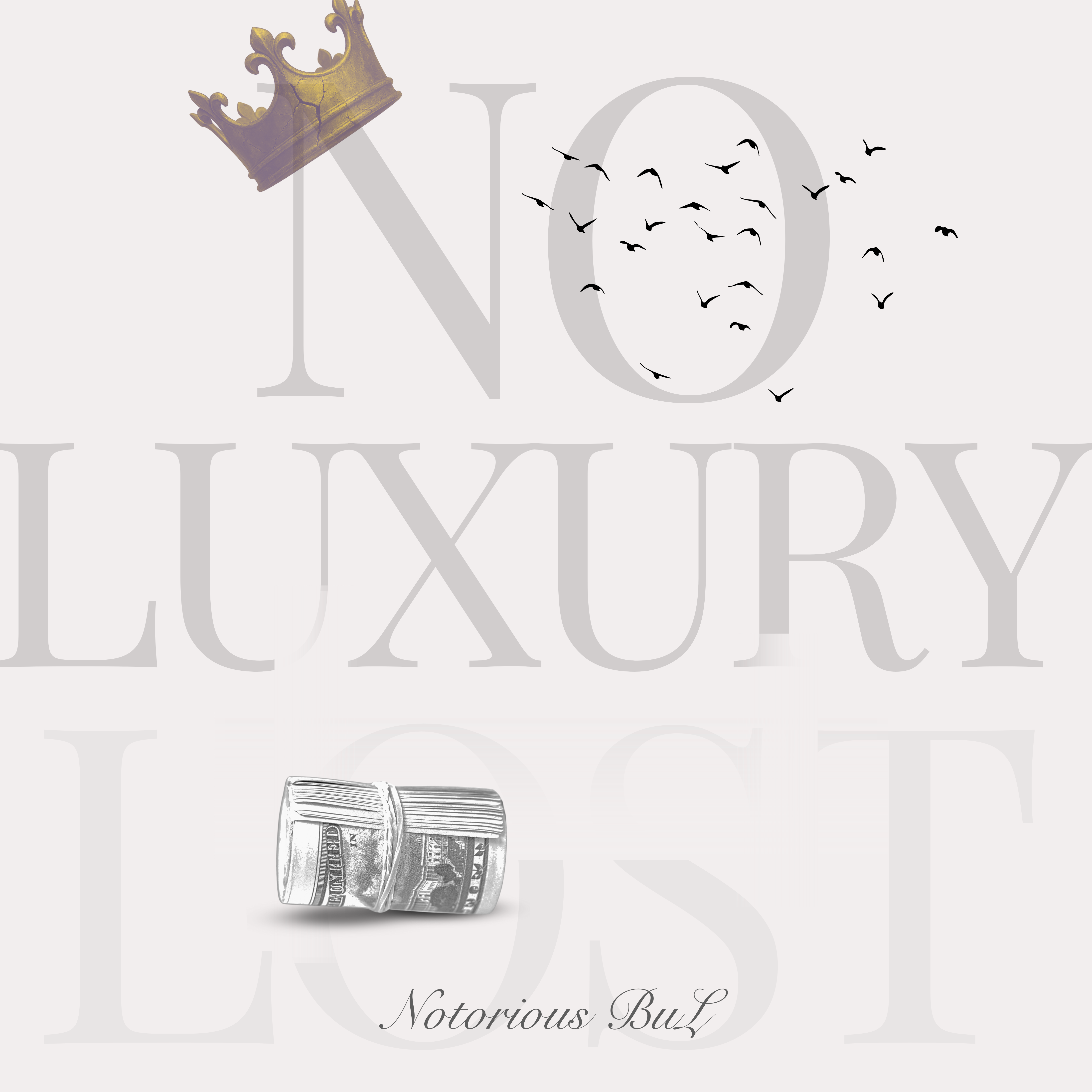 NO LUXURY LOST artwork
