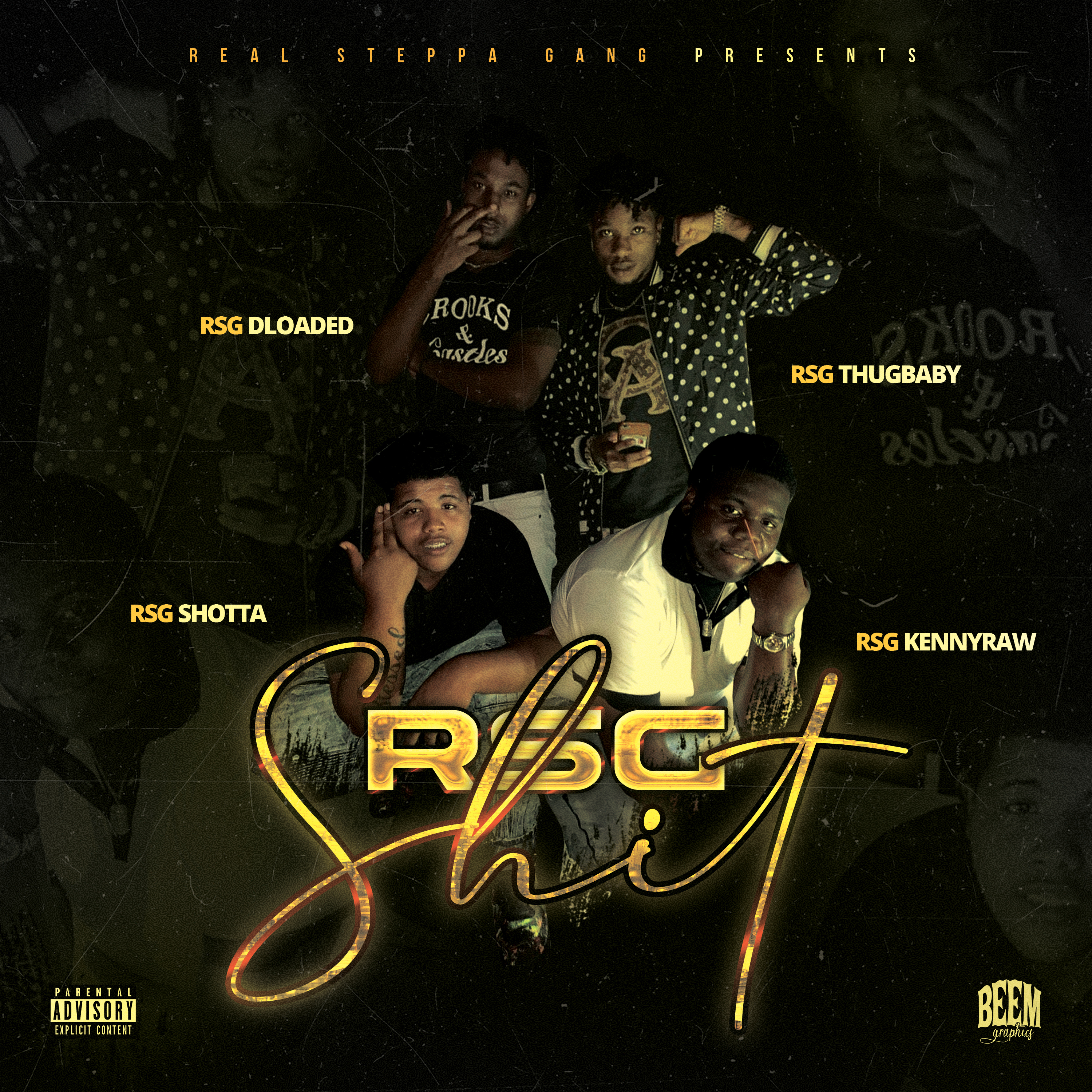 RSG SHIT artwork