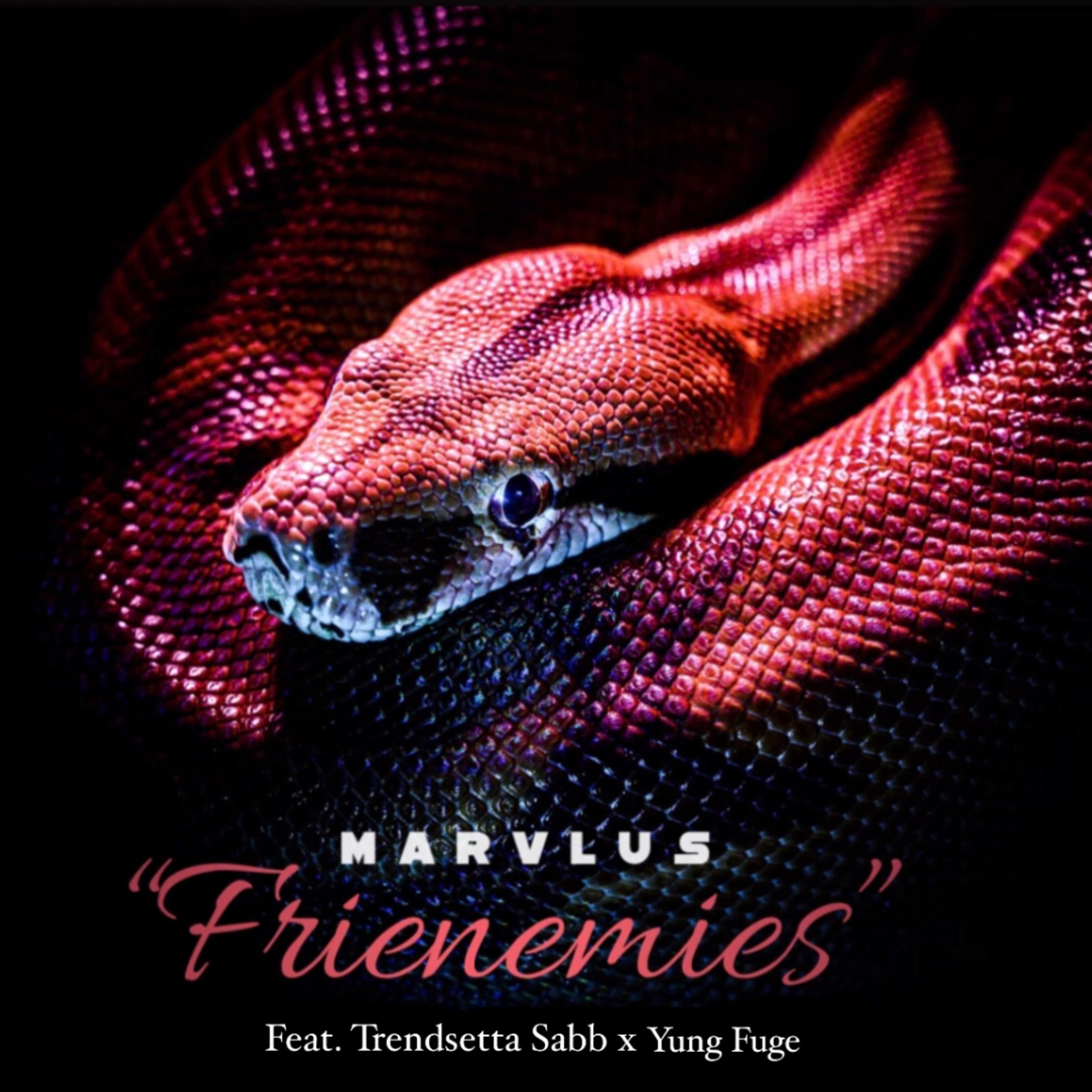 Frienemies by Marvlus cover art