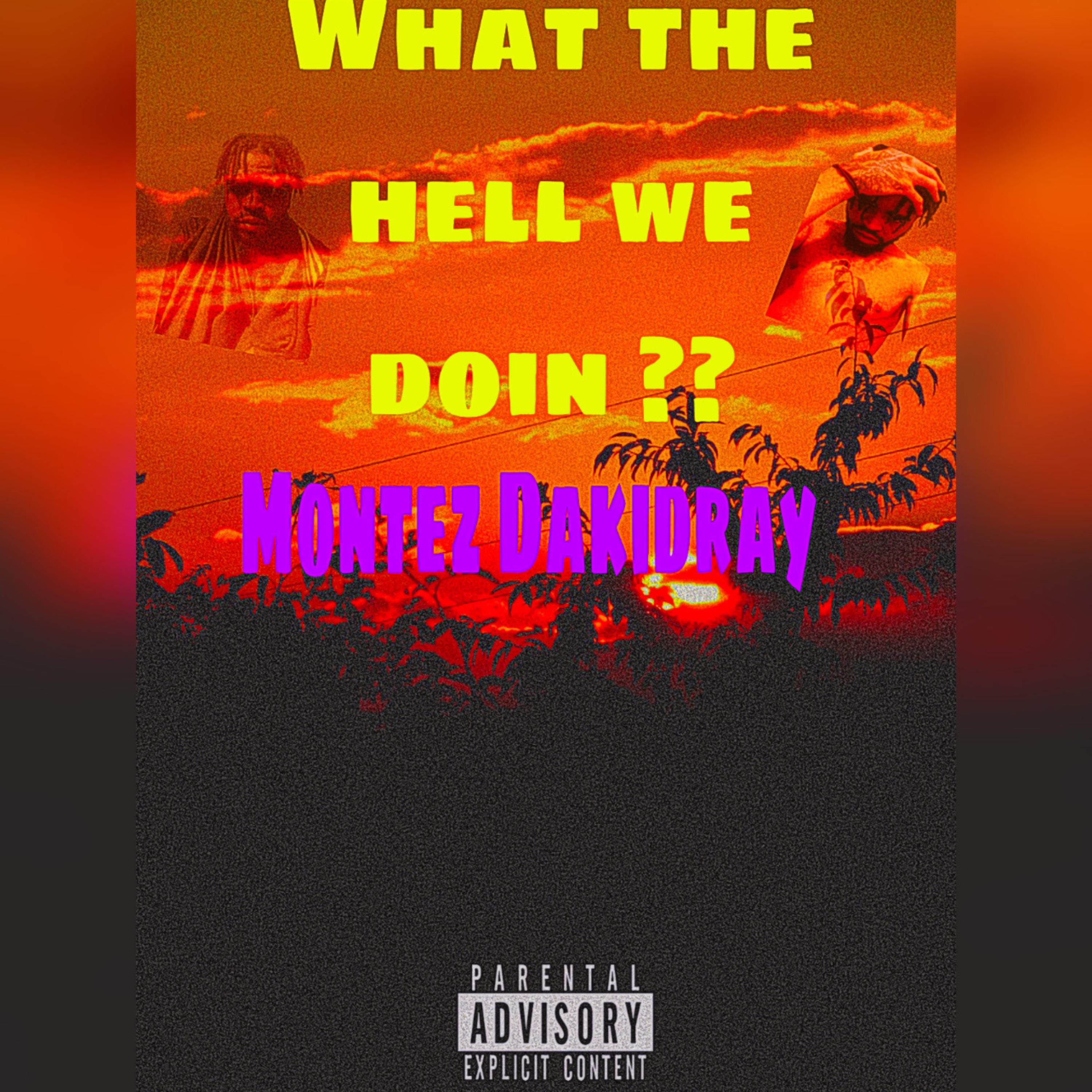 What The Hell We Doin?? artwork