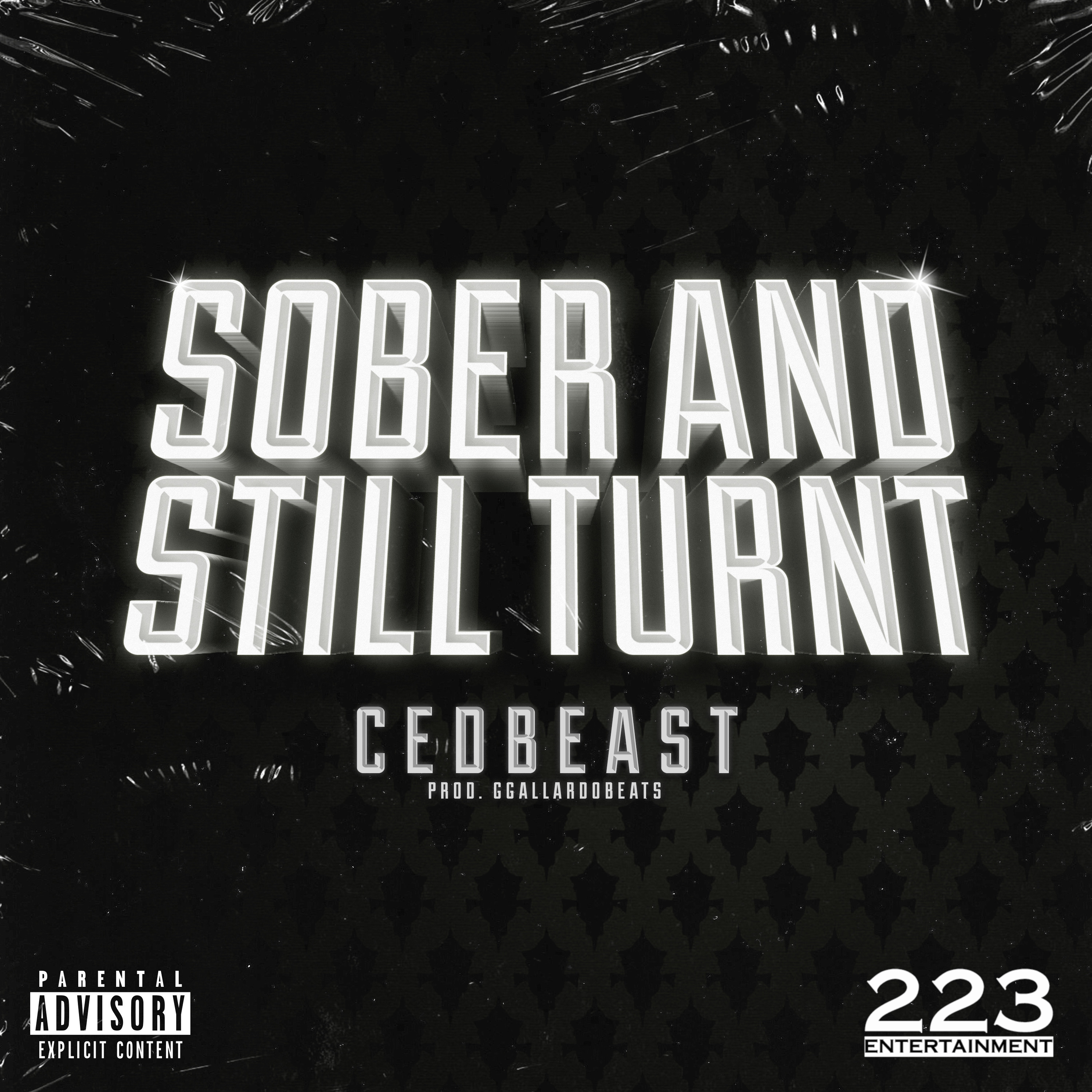 Sober And Still Turnt artwork