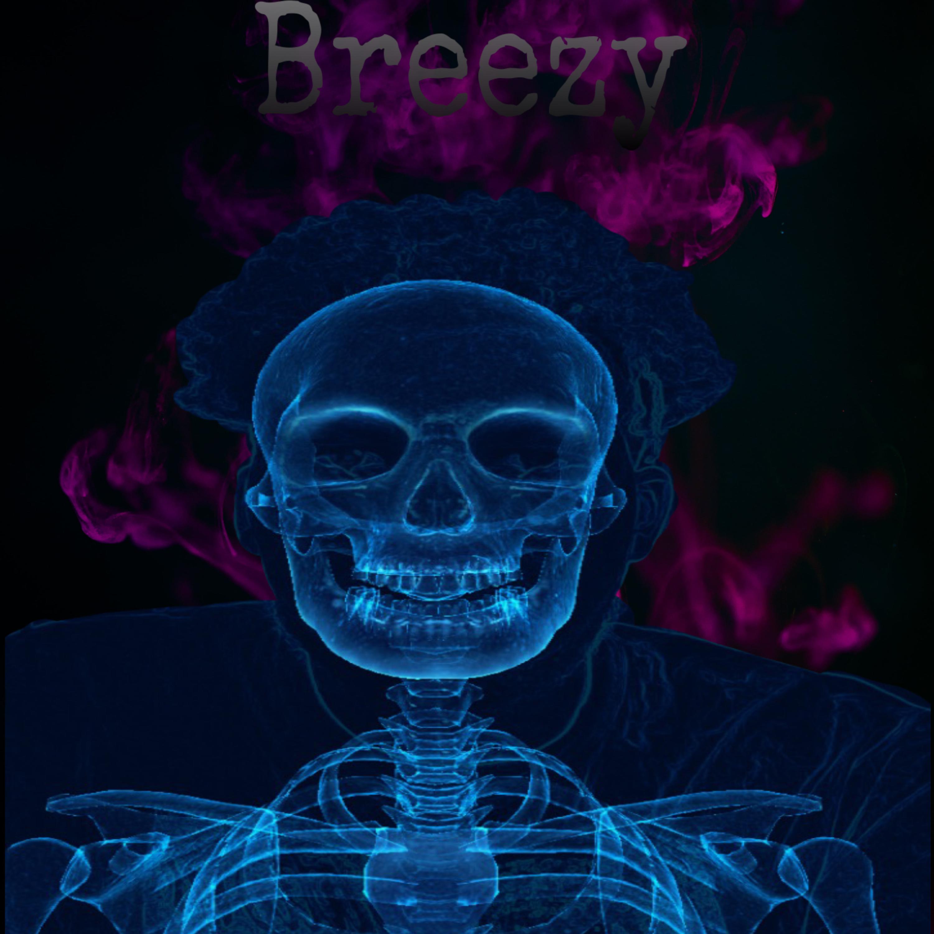 Heartbreak Breezy artwork