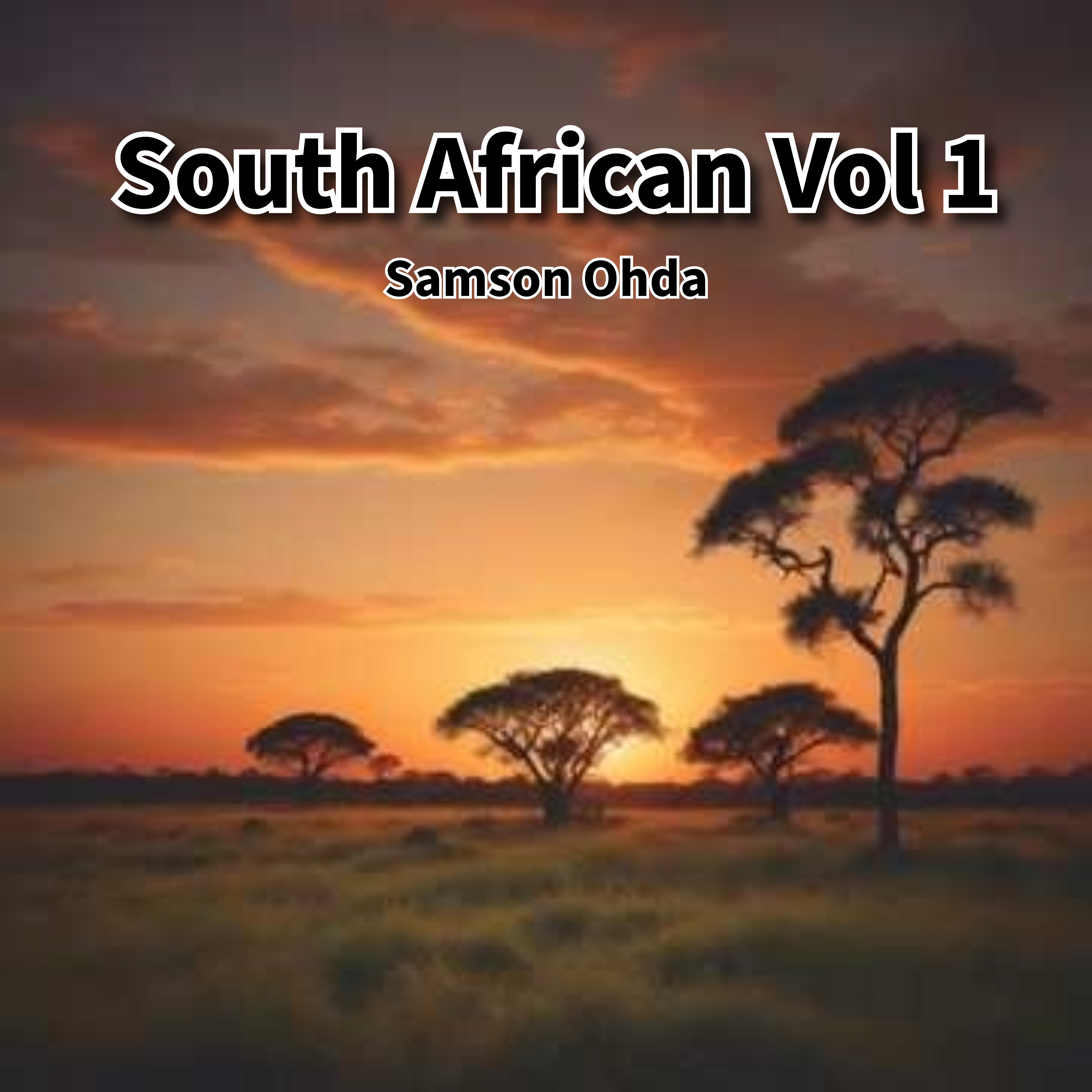 South African Vol 1  artwork