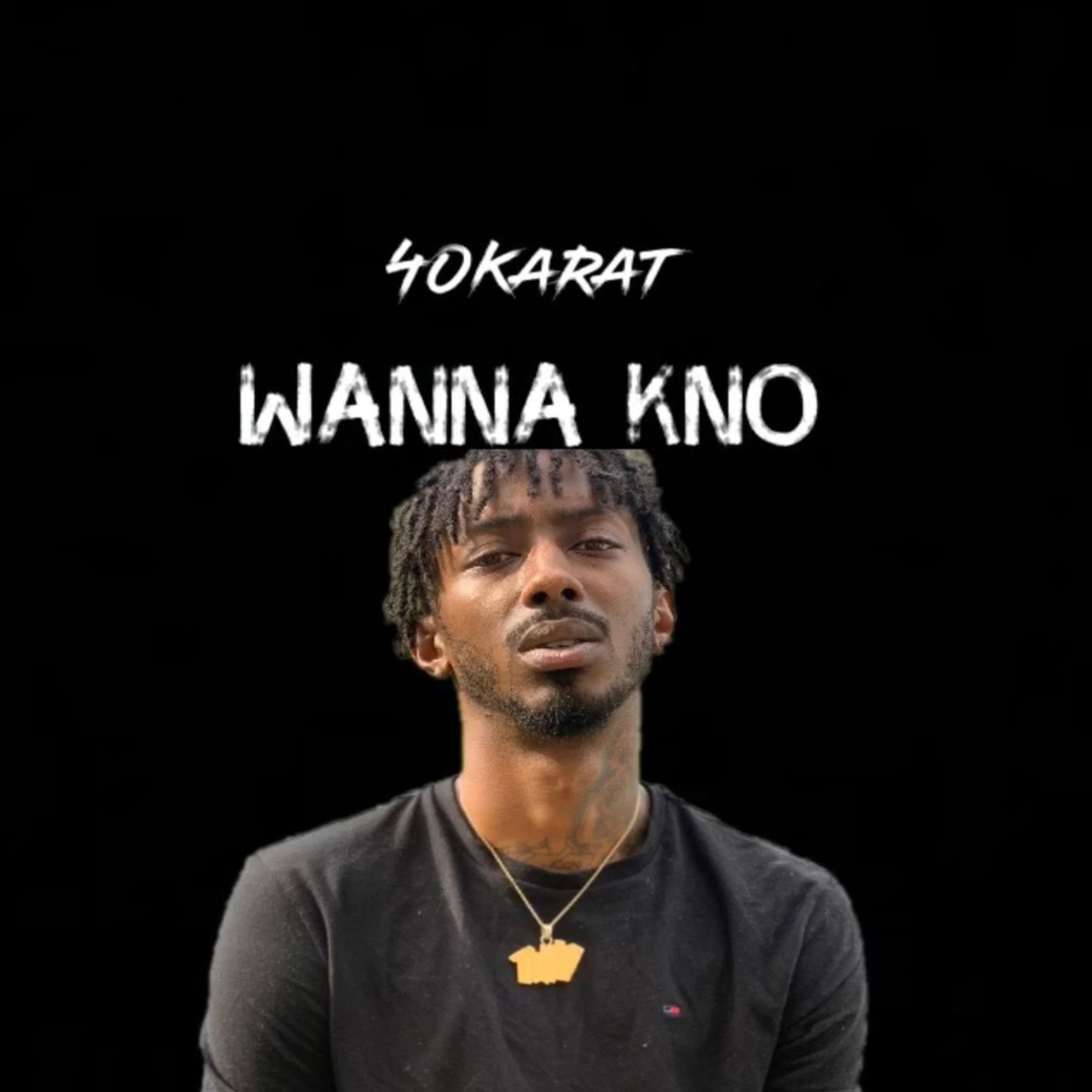 Wanna Know artwork