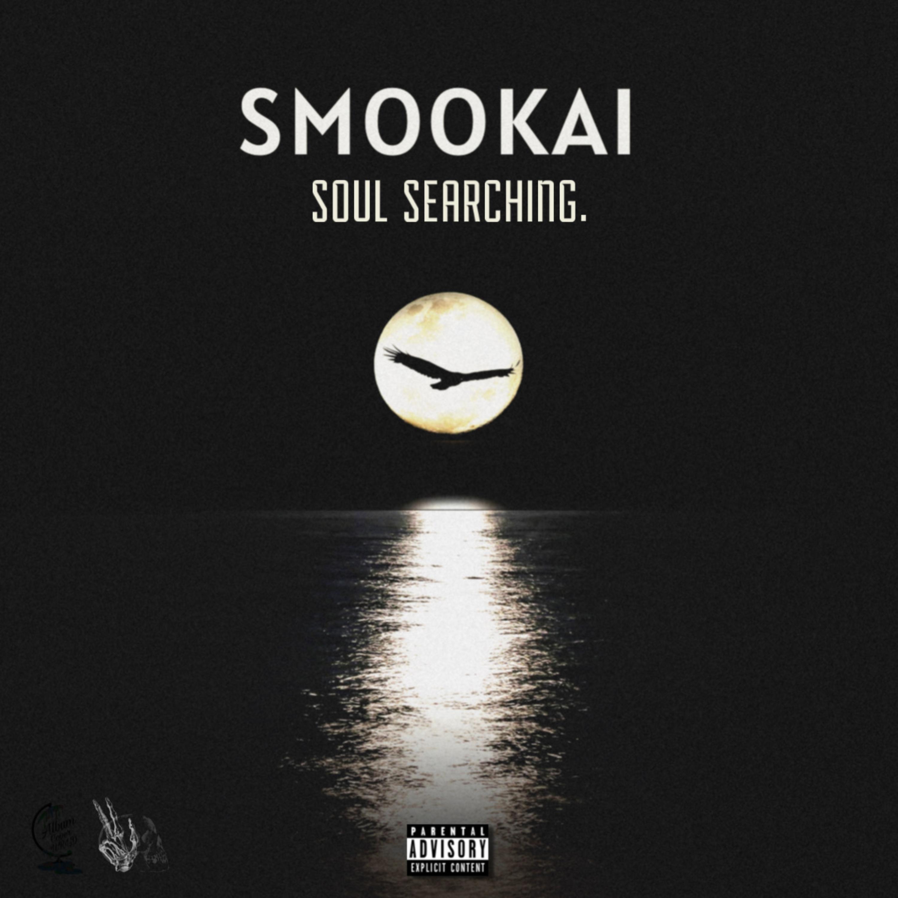 SOUL SEARCHING. artwork