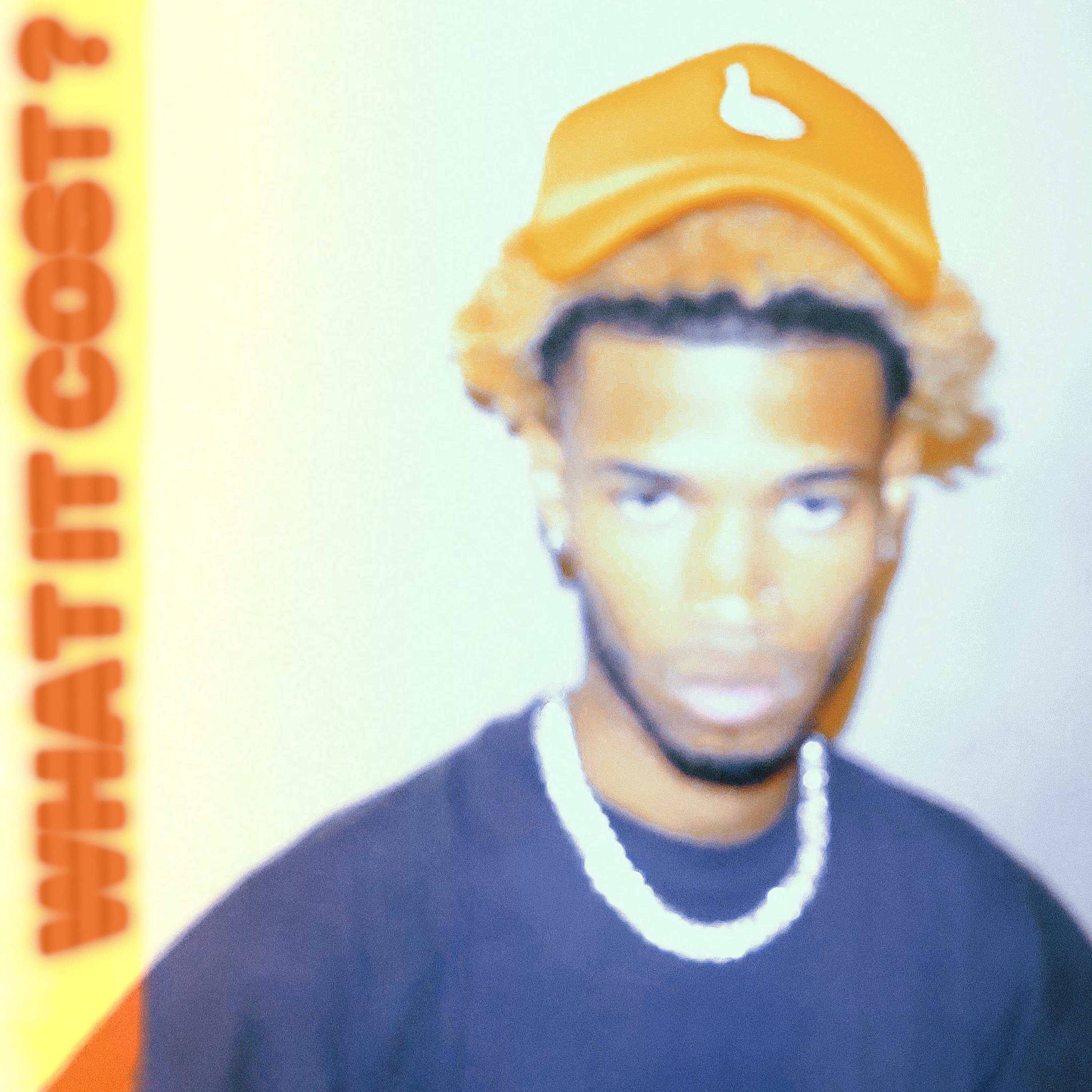 what it cost .vV artwork