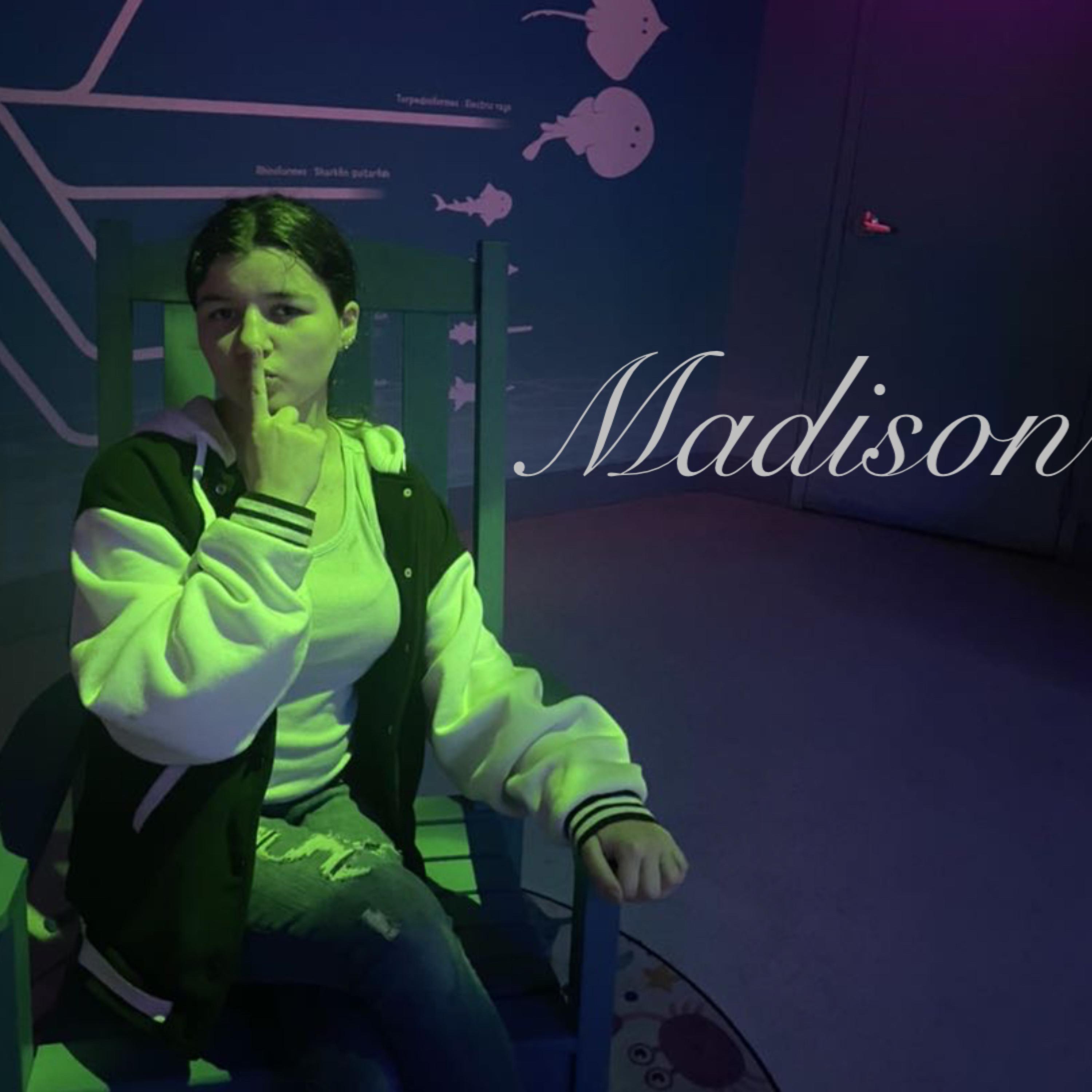 Madi$on artwork