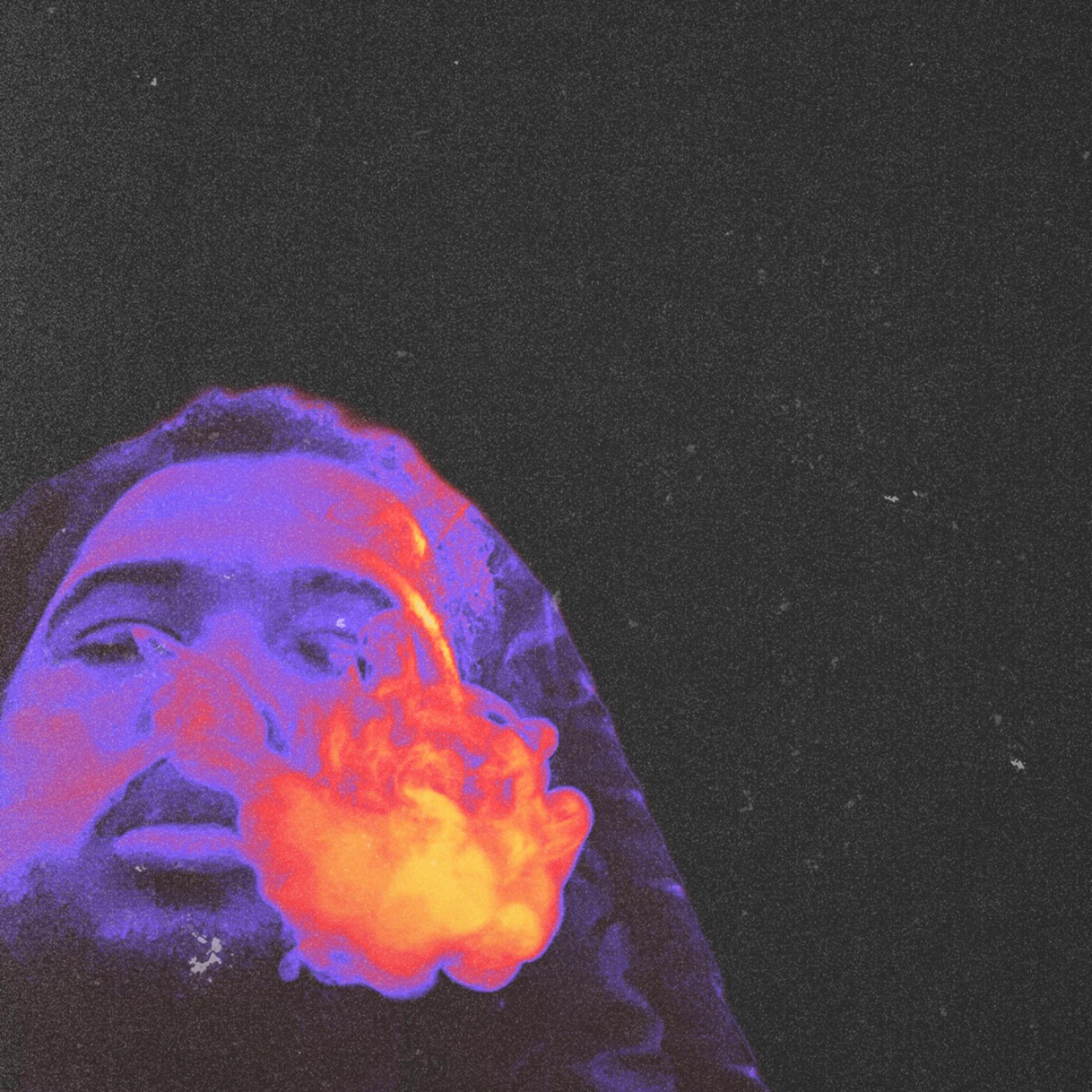 NO Flowers For Me artwork
