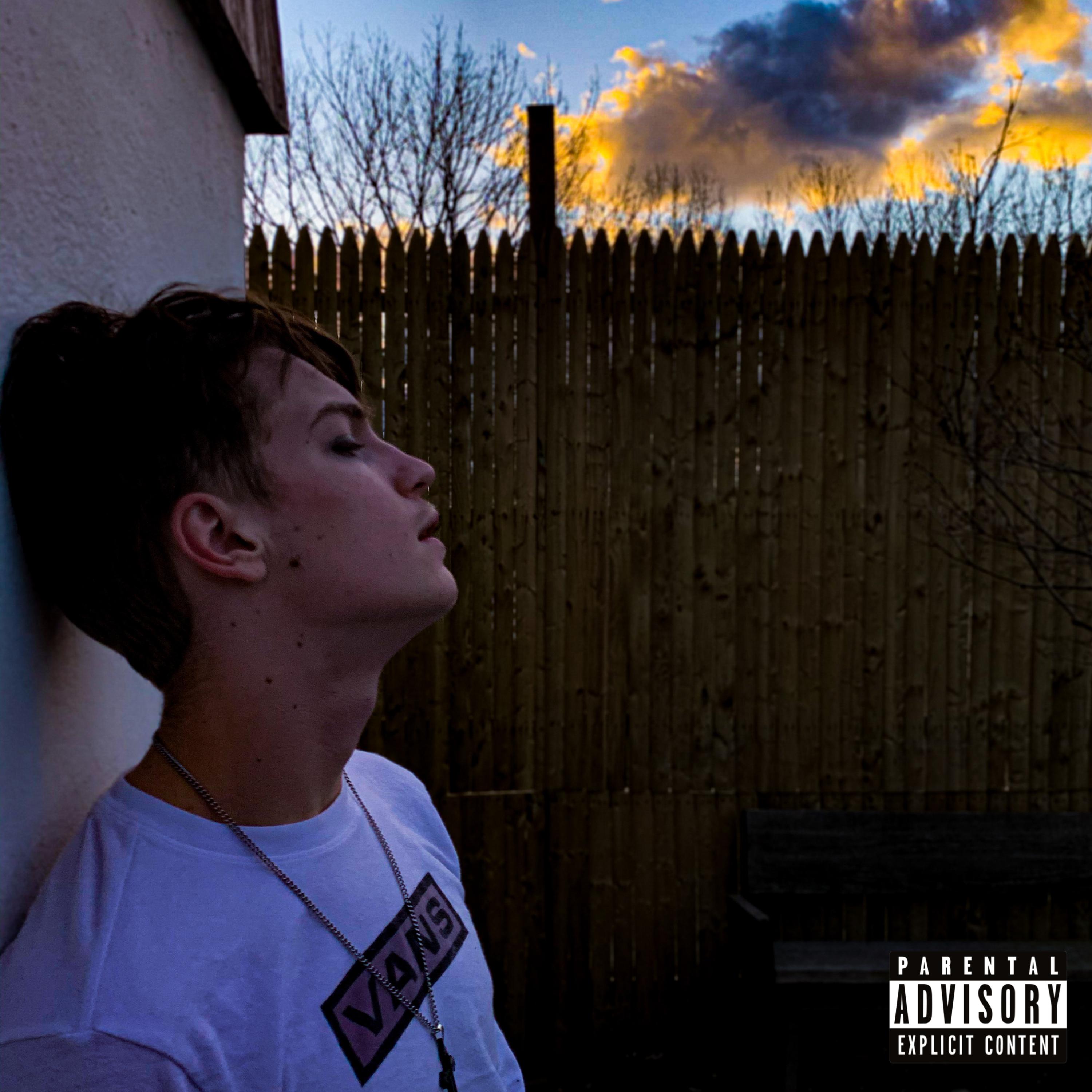 Fantasize artwork