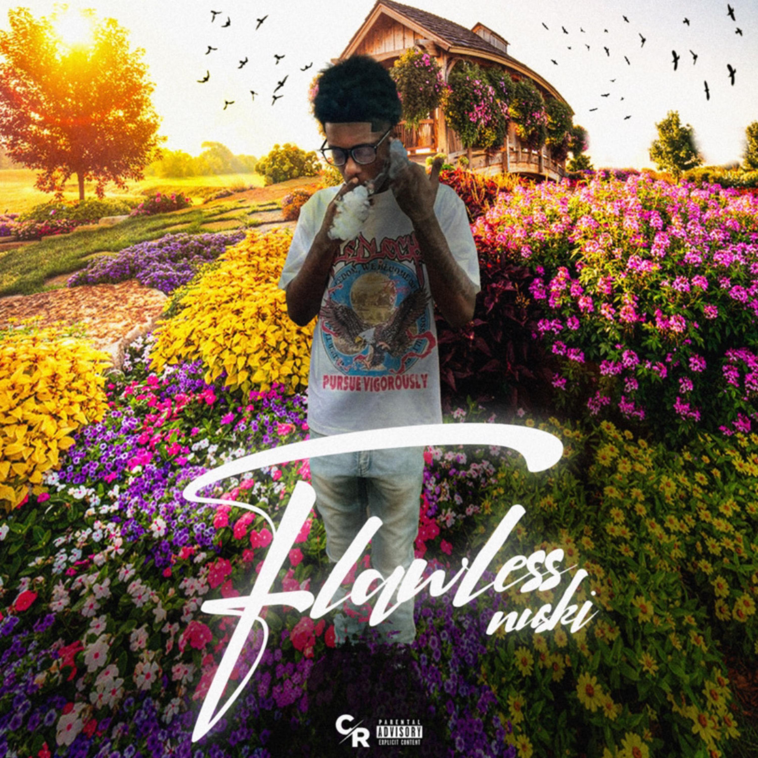 Flawless by Nusky cover art