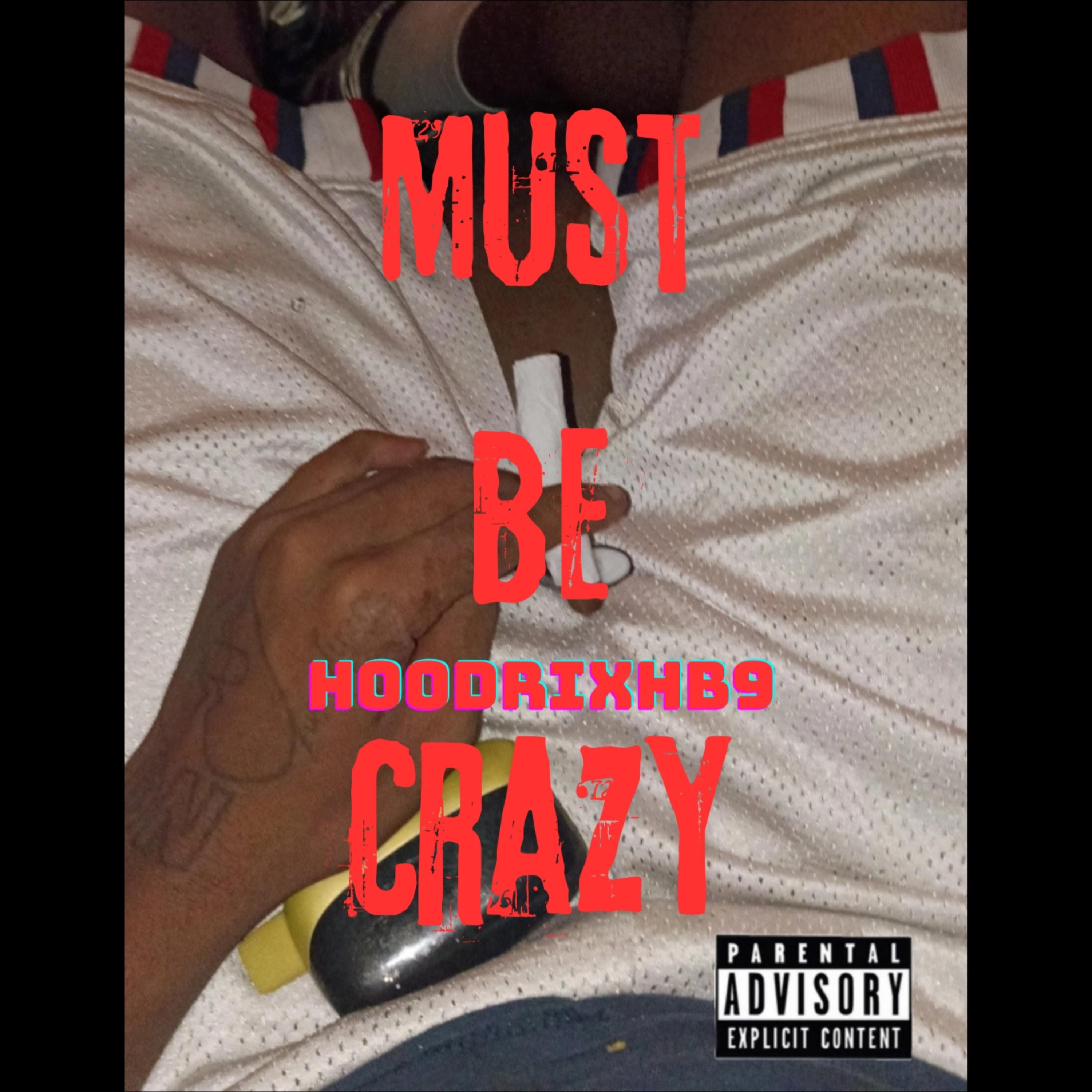 Must Be Crazy by hoodrixhb9 cover art
