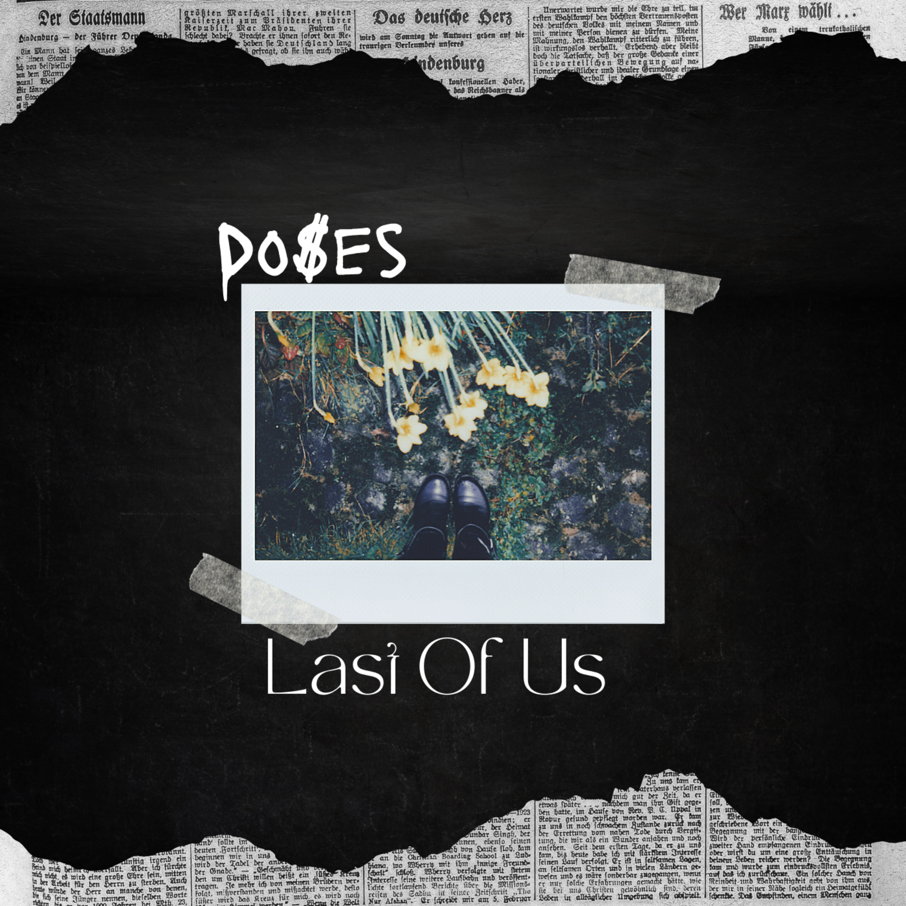 Last Of Us artwork