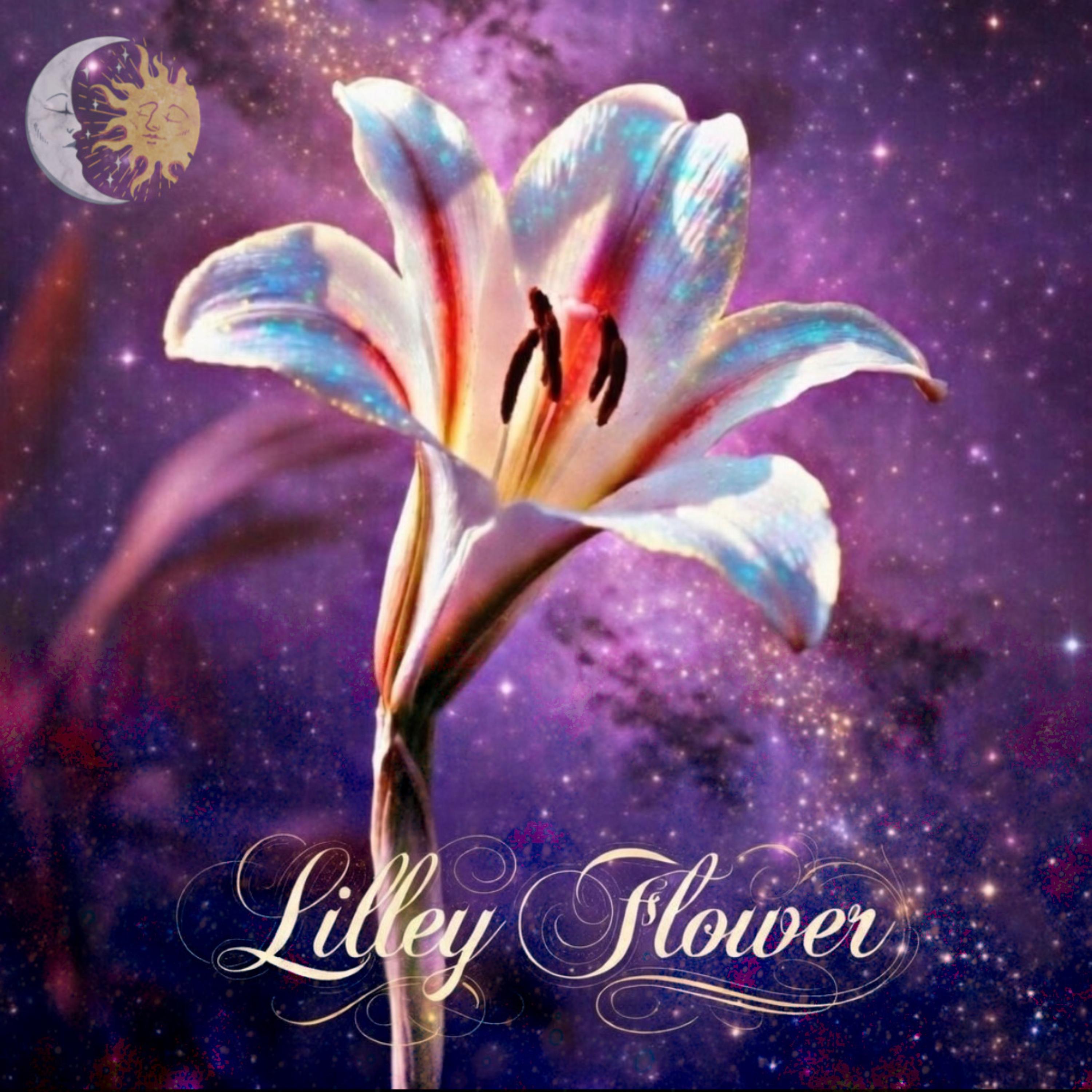 Lilley Flower artwork
