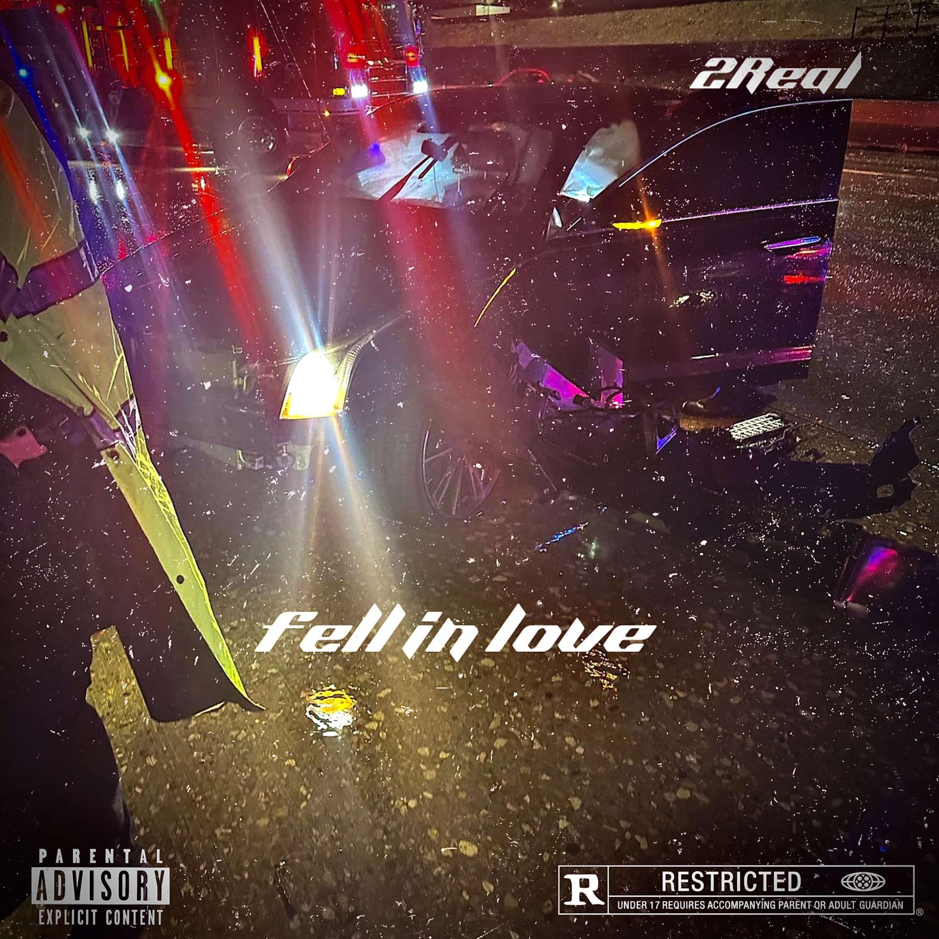 FELL IN LOVE artwork