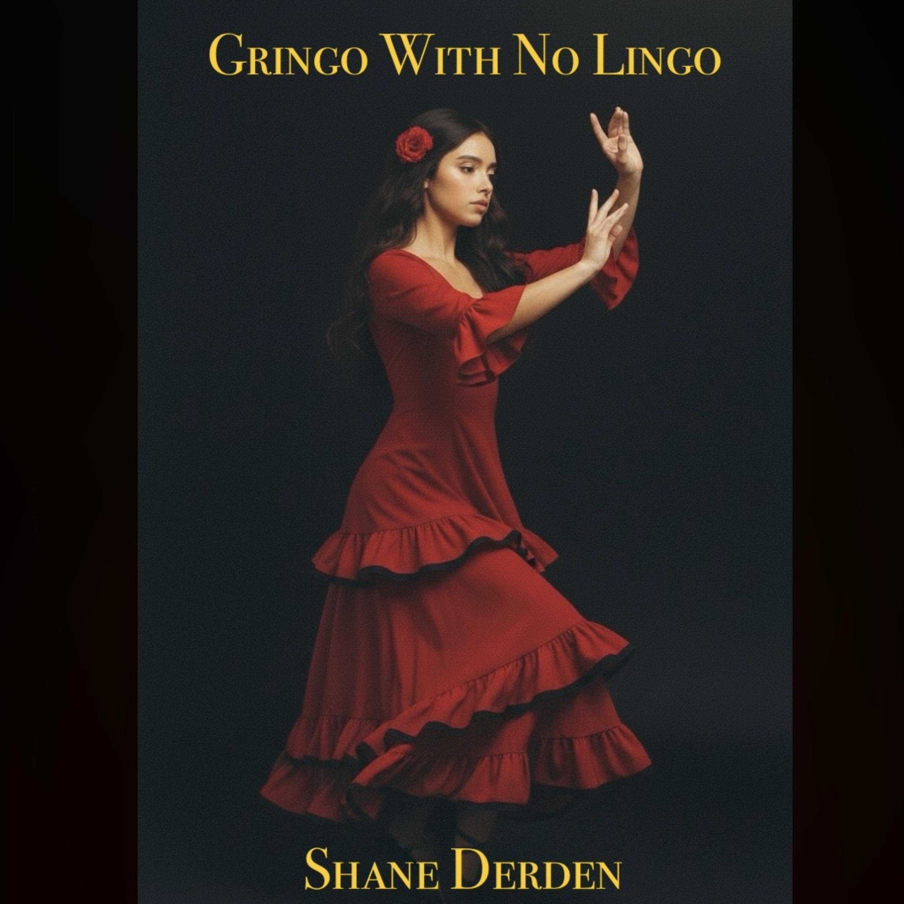 Gringo With No Lingo artwork