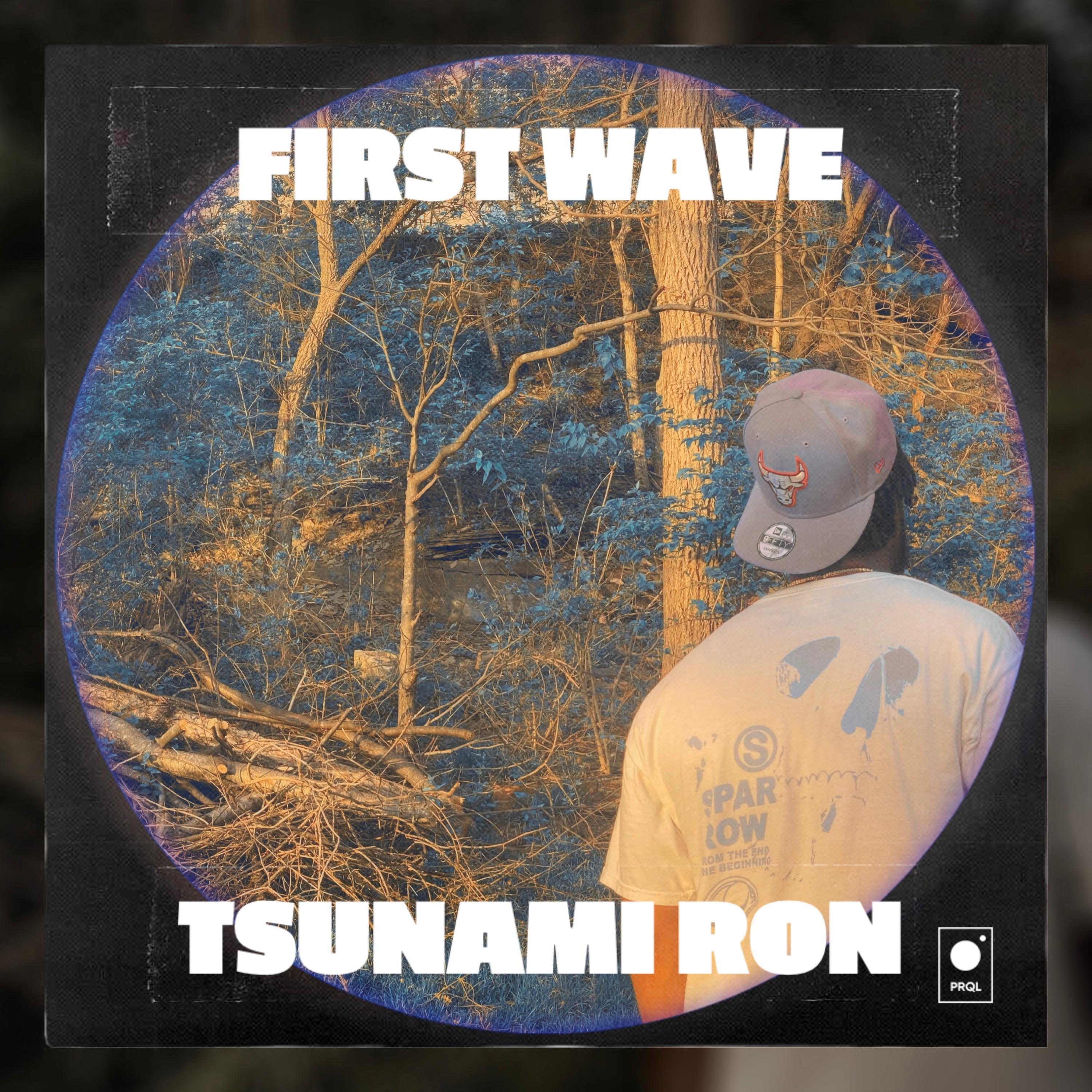 First Wave artwork