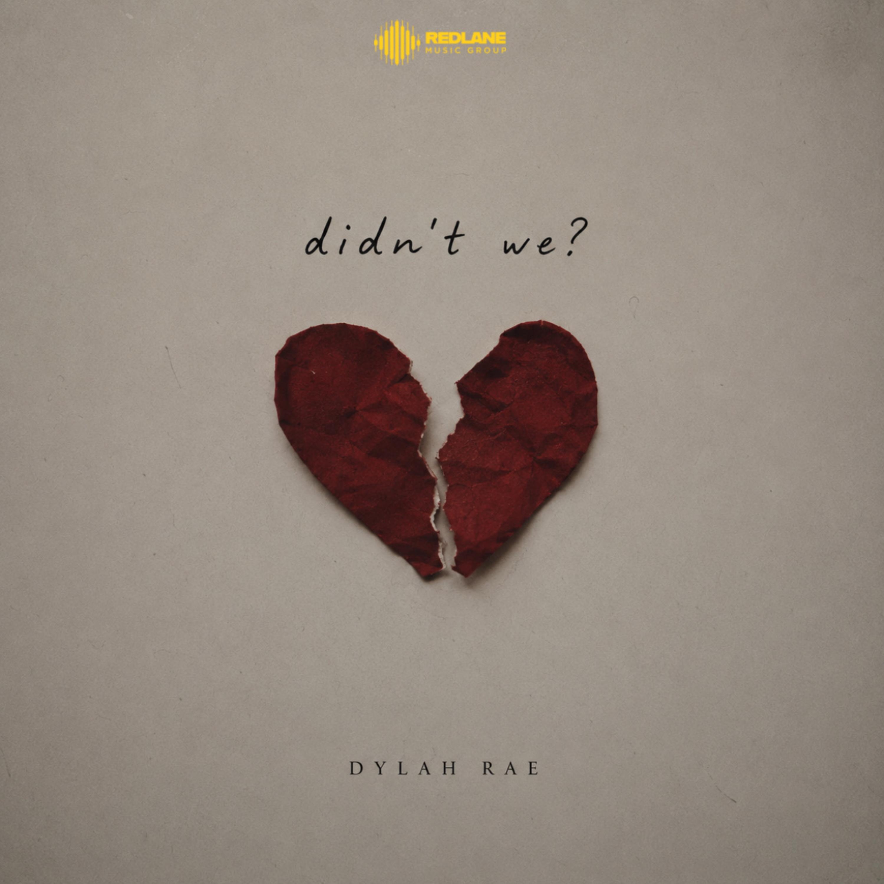 Didn’t We ? by Dylah Rae cover art